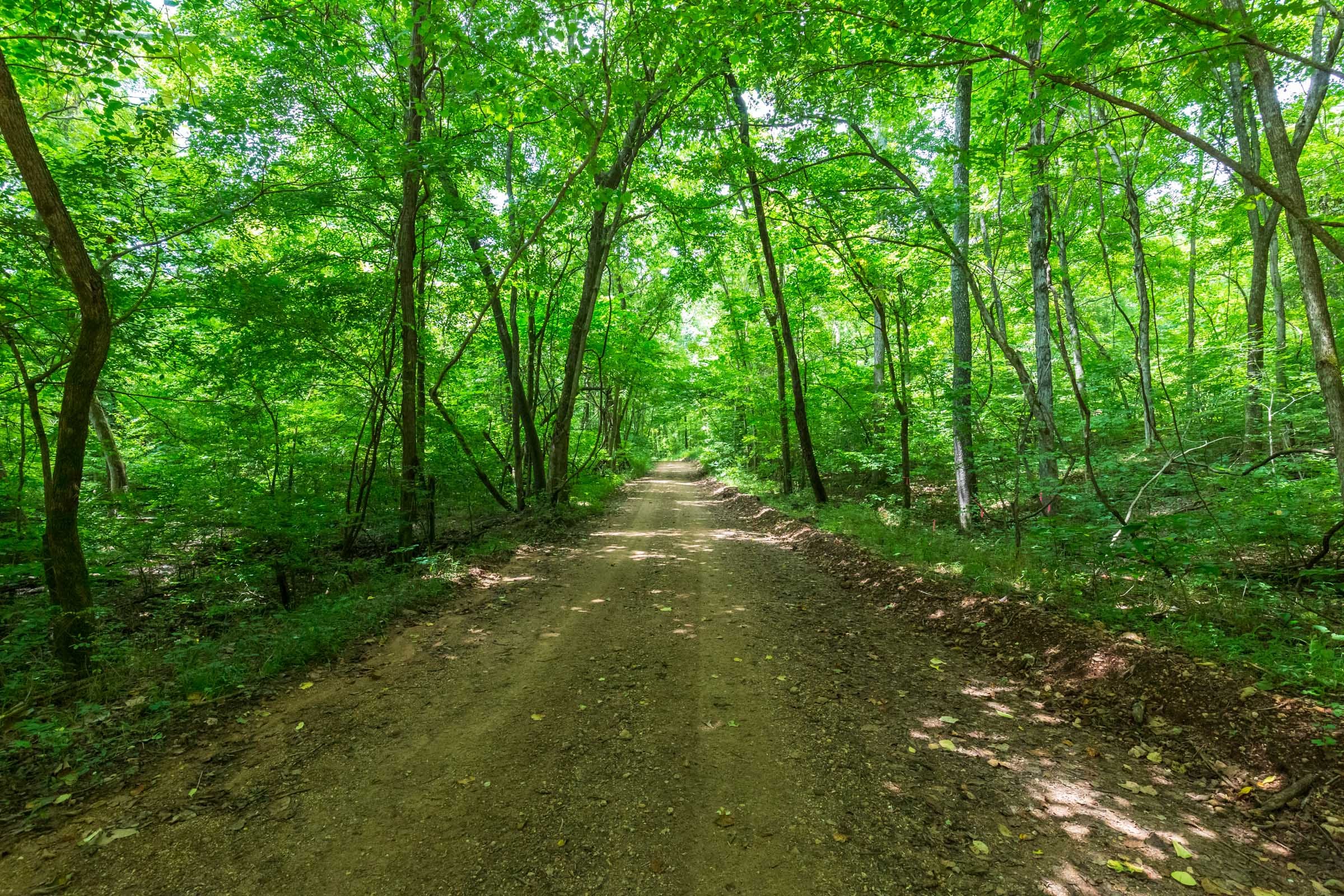 Cypress Ridge Tract 6 photo 1