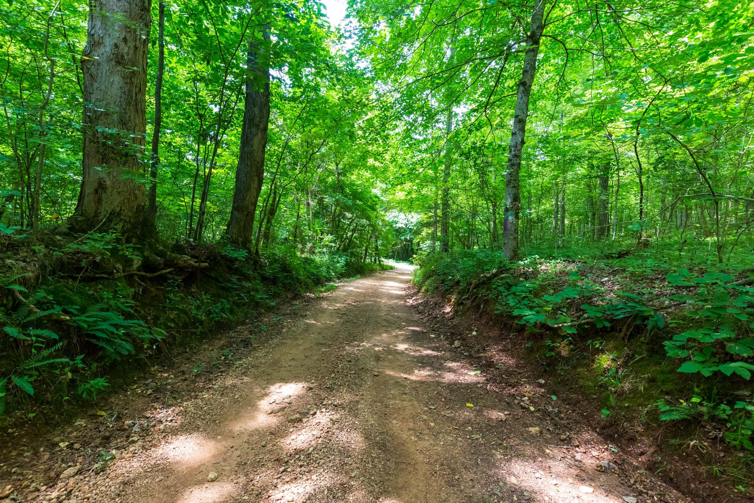 Cypress Ridge Tract 6 photo 6
