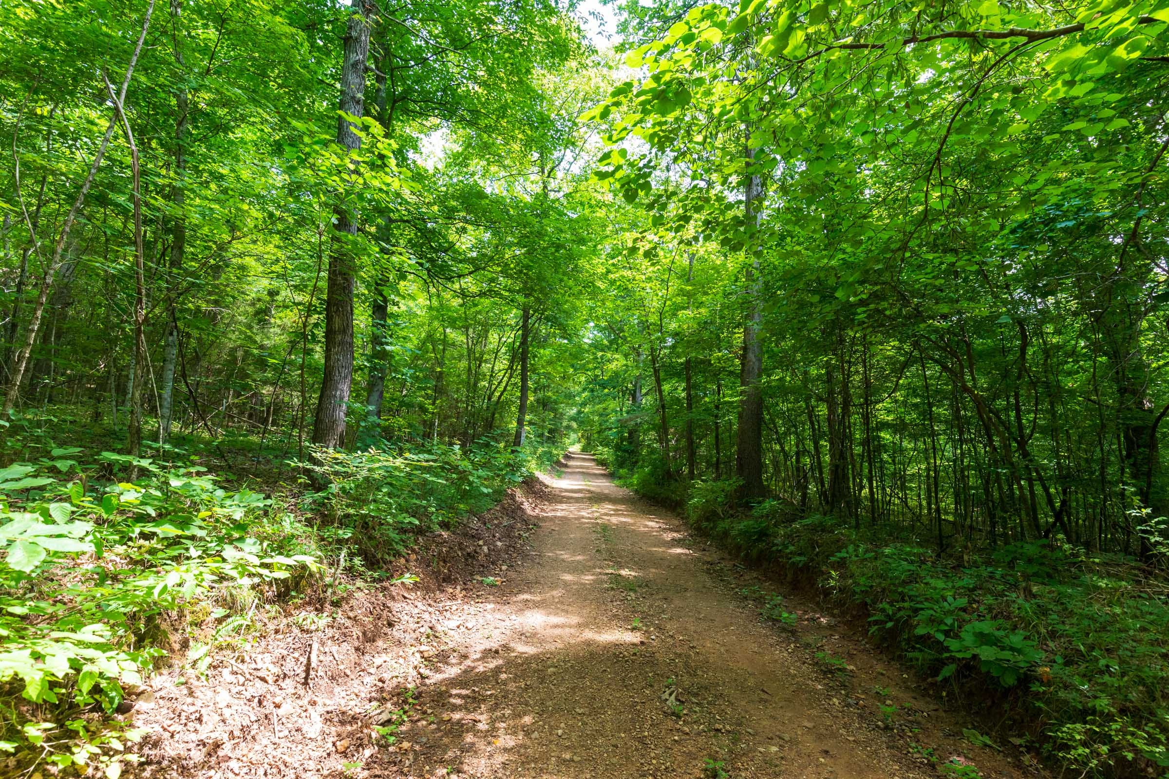 Cypress Ridge Tract 6 photo 10