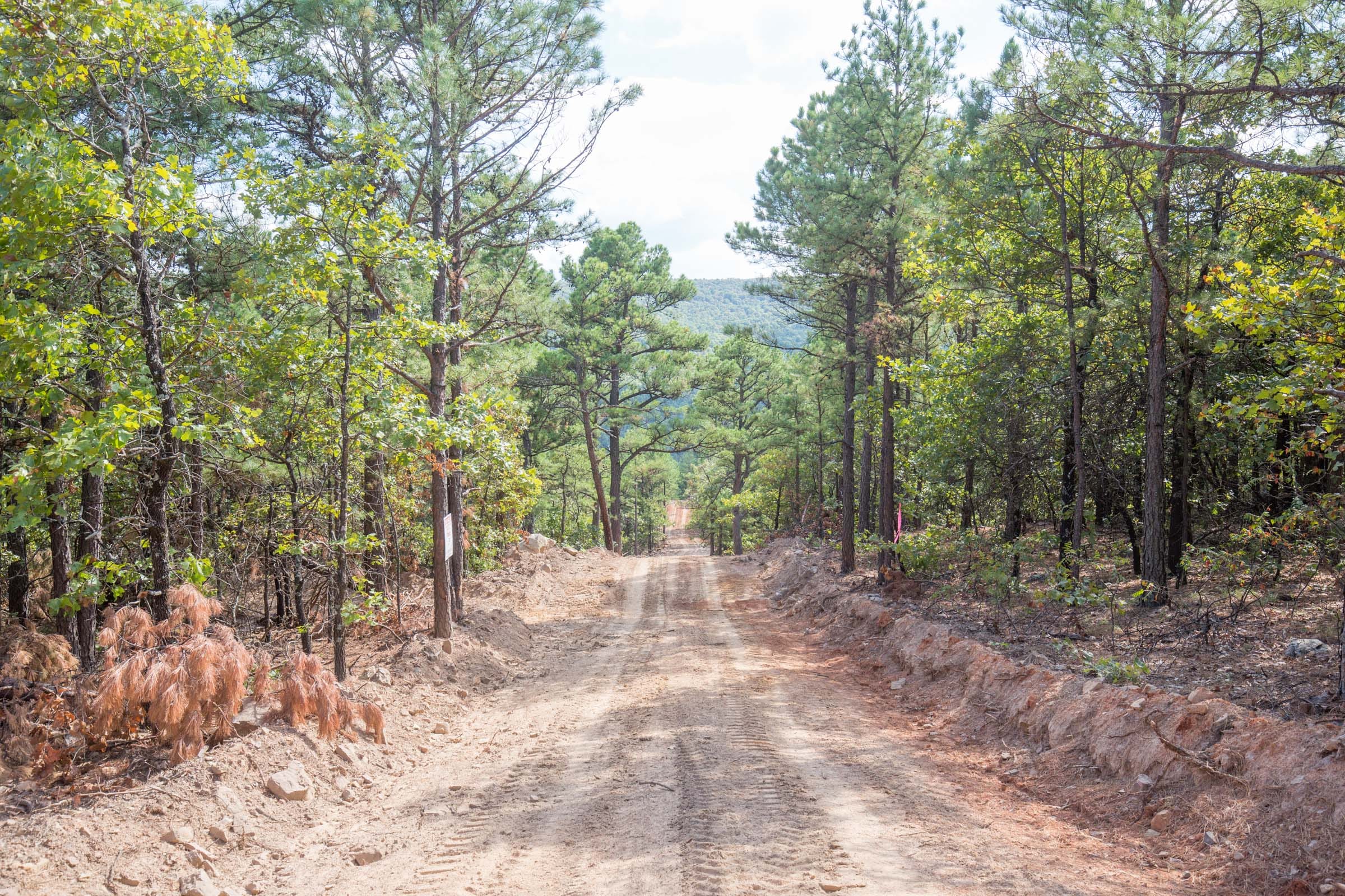 Stone Bridge Phase I Tract 59 photo 4
