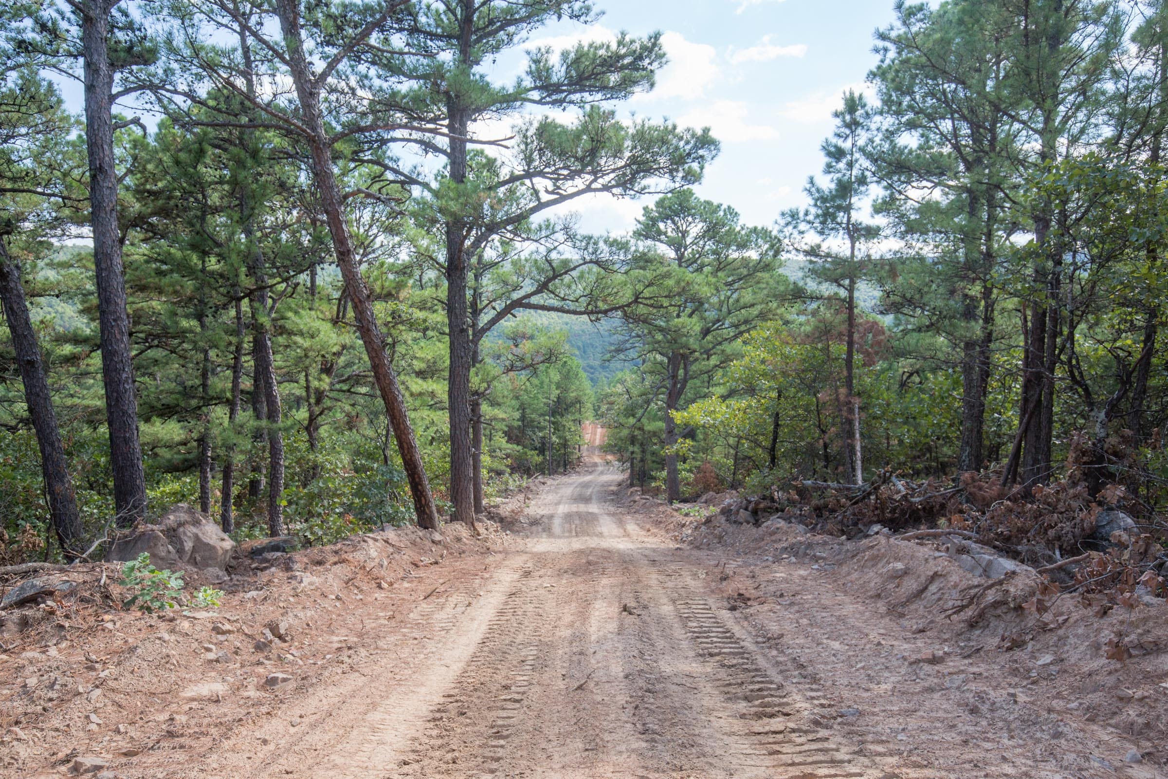 Stone Bridge Phase I Tract 59 photo 6