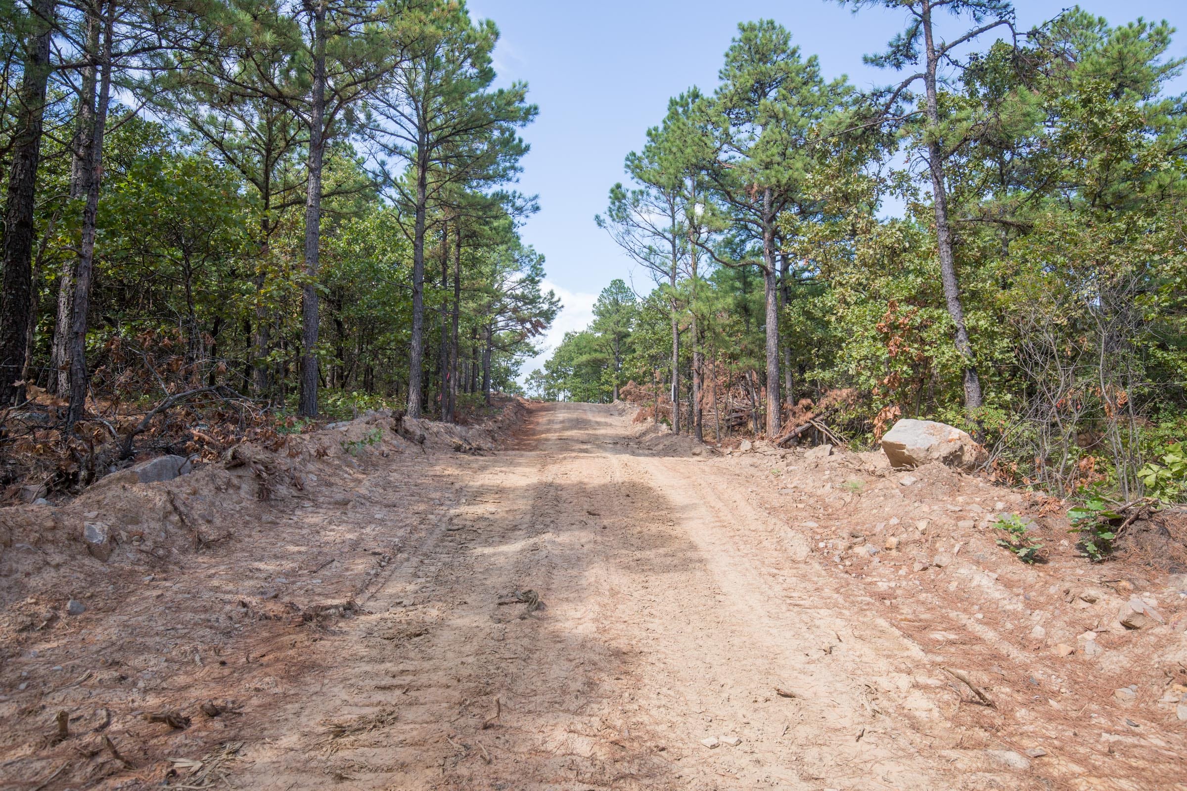 Stone Bridge Phase I Tract 59 photo 8