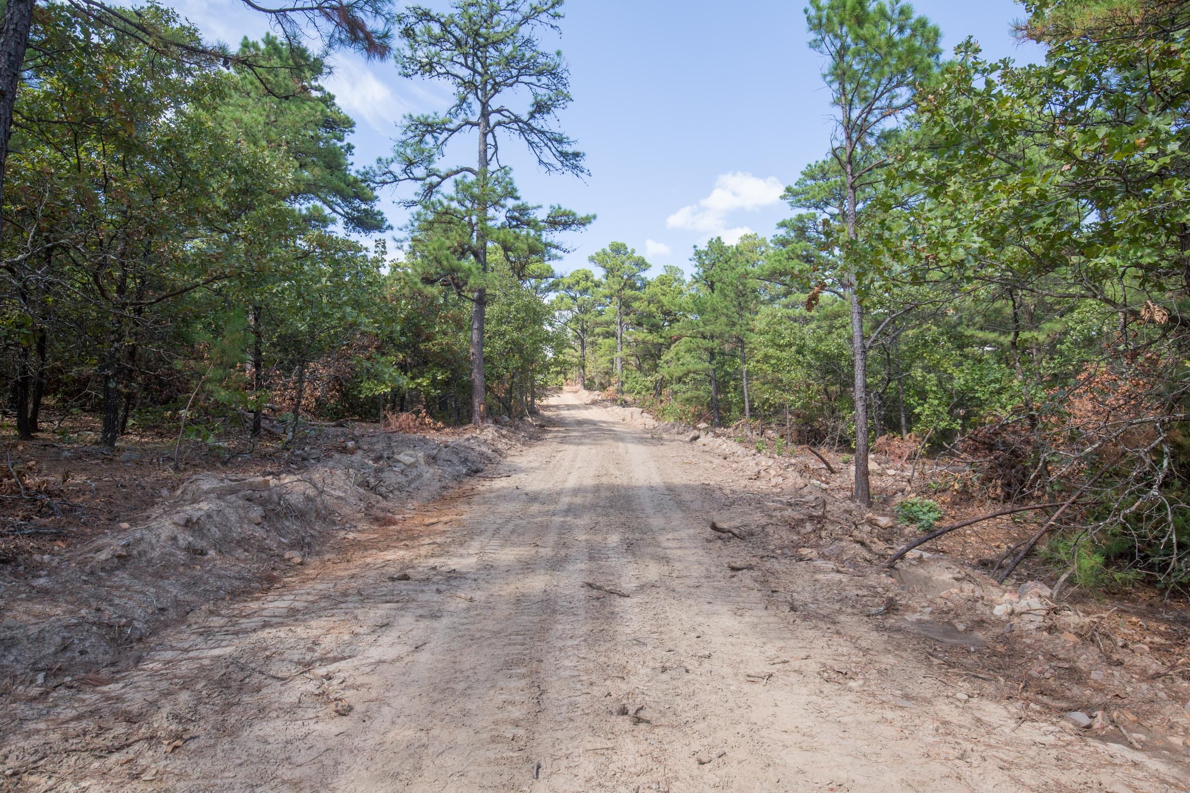 Stone Bridge Phase I Tract 59 photo 11