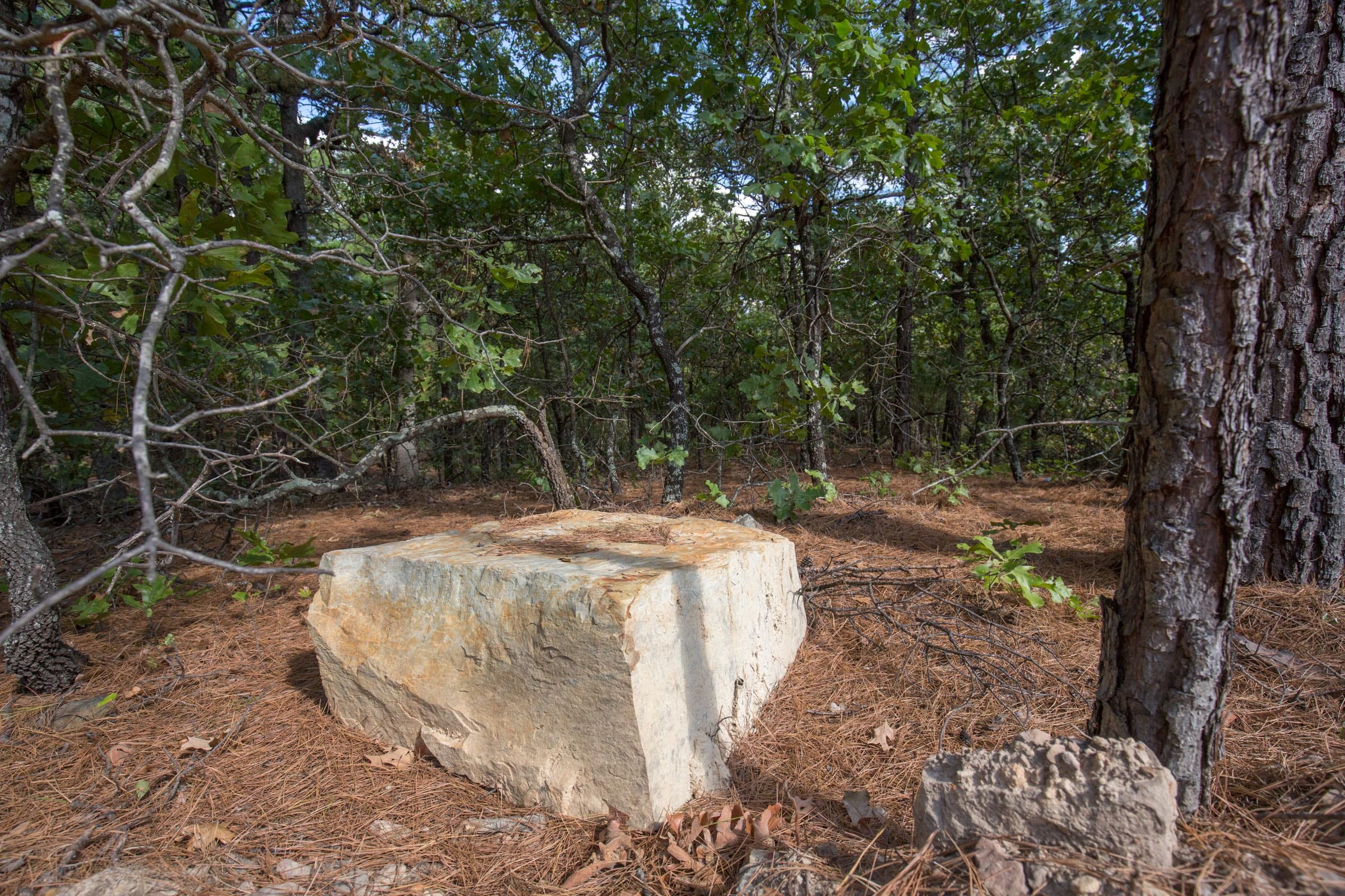 Stone Bridge Phase I Tract 59 photo 12
