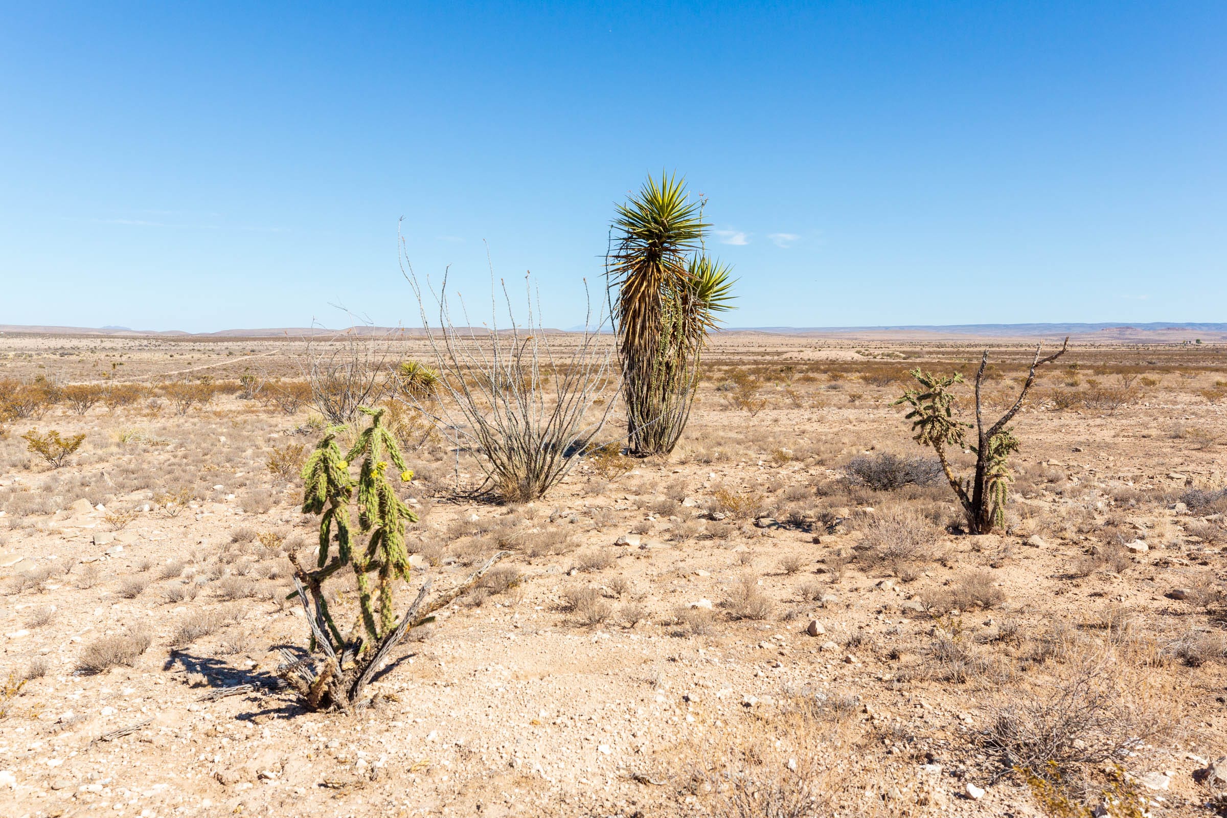 Sunrise Ranches Phase IV Tract 164 photo 13