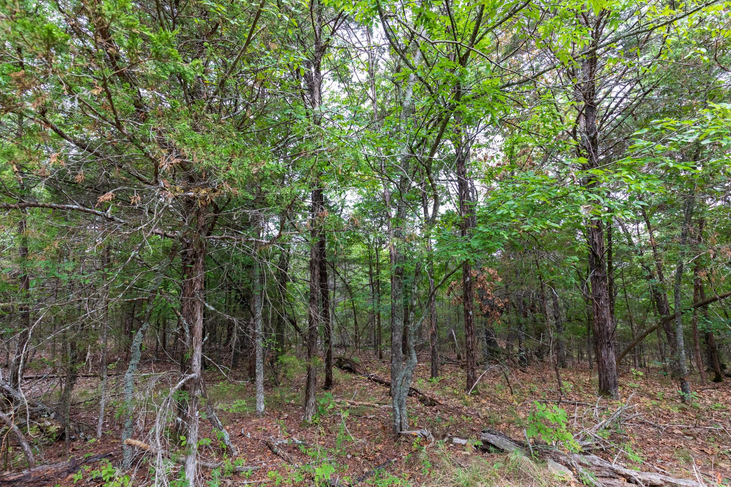 Heritage Bend Tract 14 photo 3