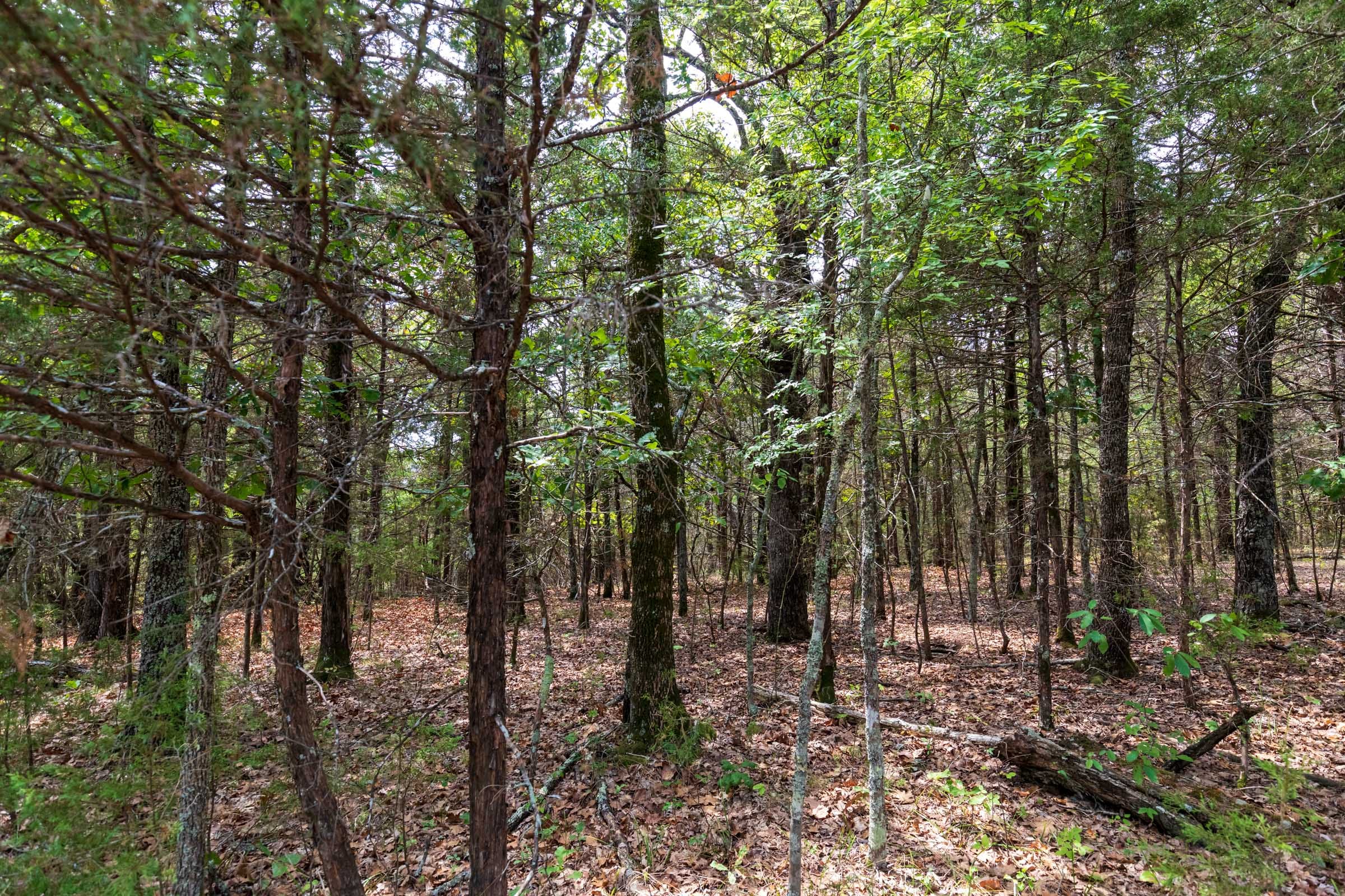 Heritage Bend Tract 14 photo 4