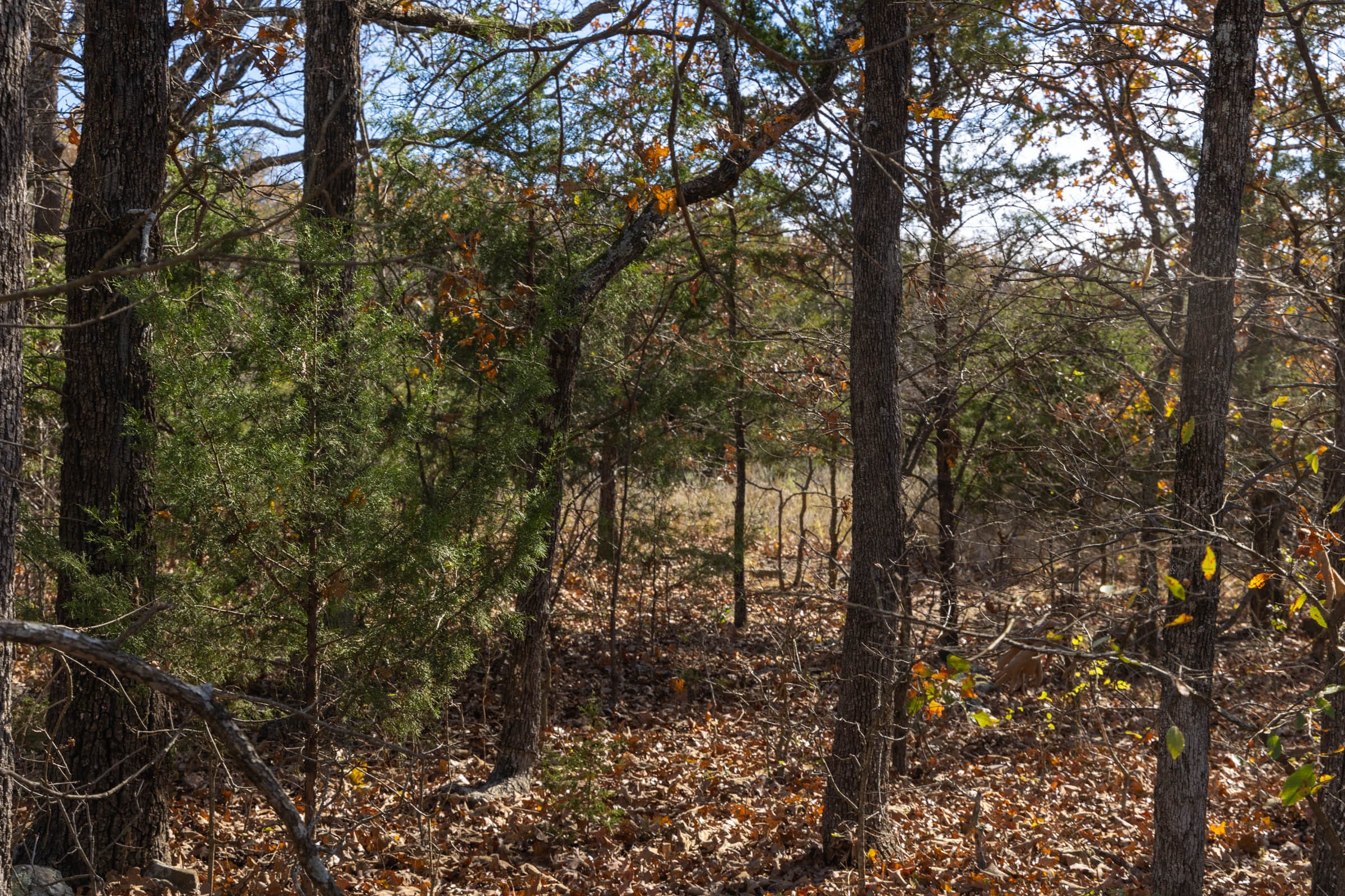 Harmony Hills Tract 49 photo 2