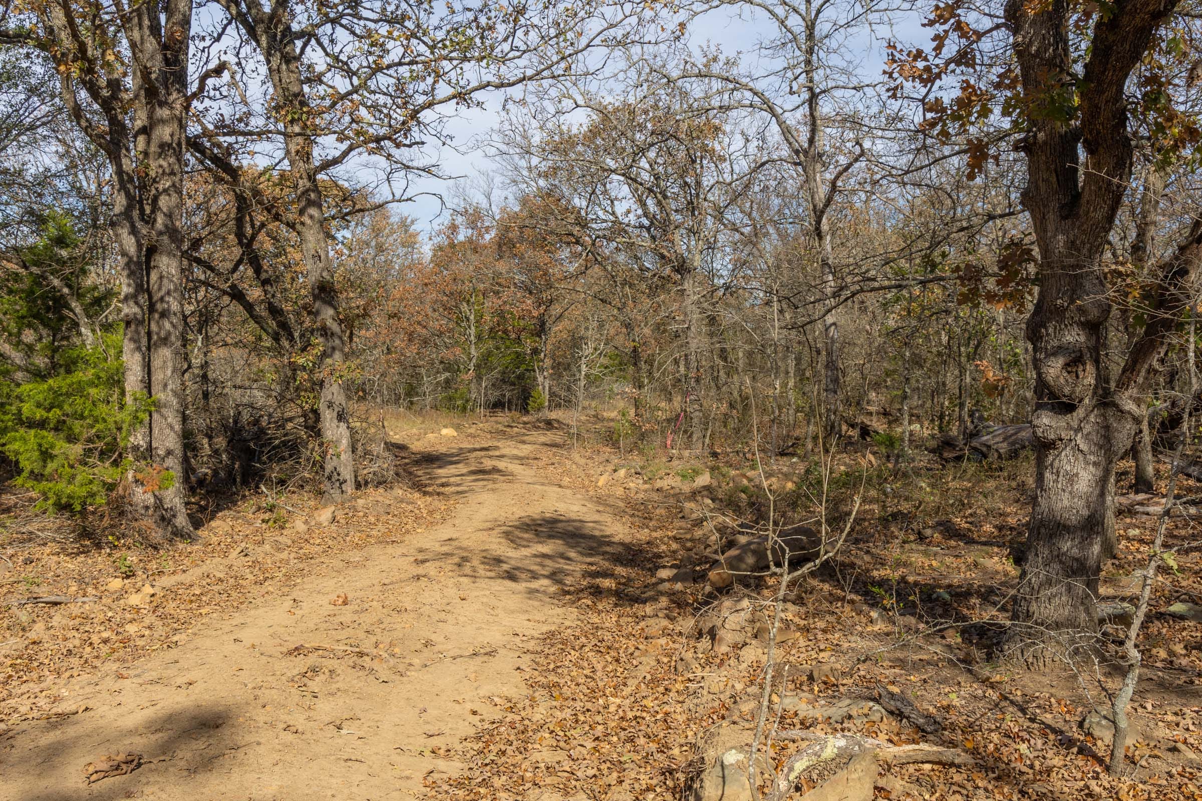 Harmony Hills Tract 49 photo 9