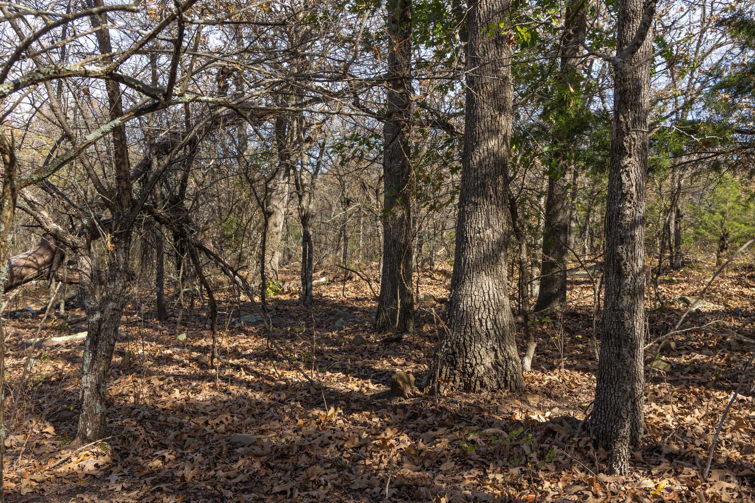 Harmony Hills Tract 49 photo 6