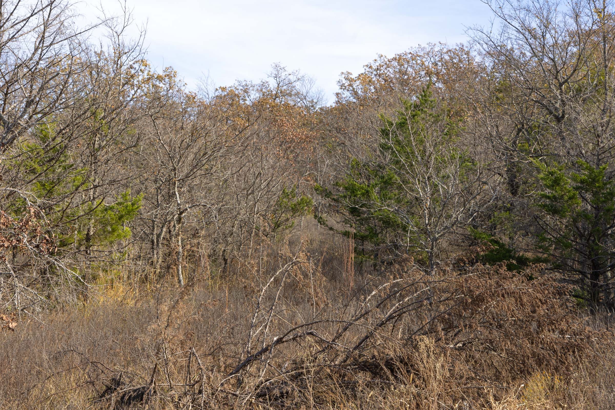 Harmony Hills Tract 49 photo 7