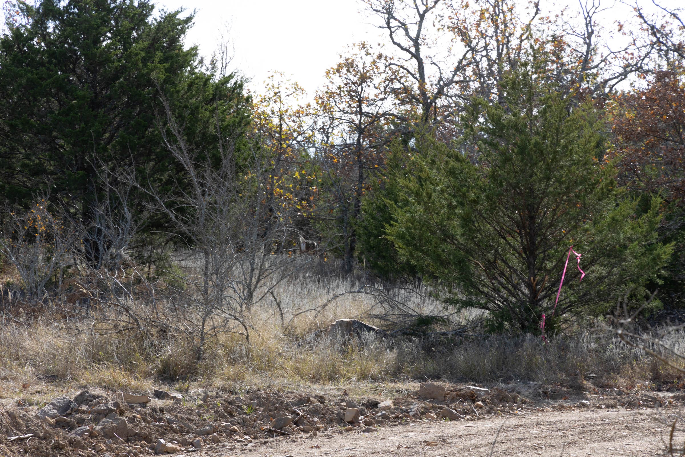 Harmony Hills Tract 49 photo 5
