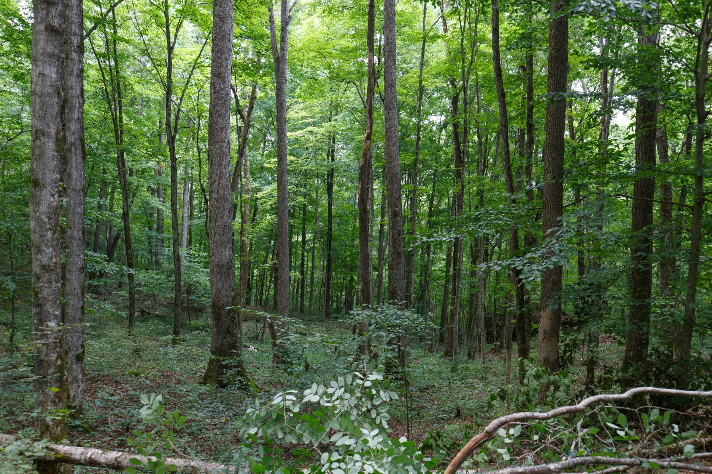 Rolling Hills Tract 11 photo 1