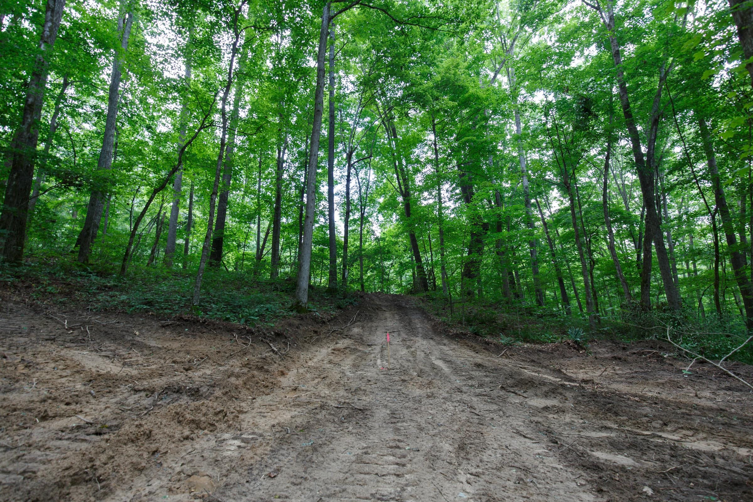 Rolling Hills Tract 11 photo 3