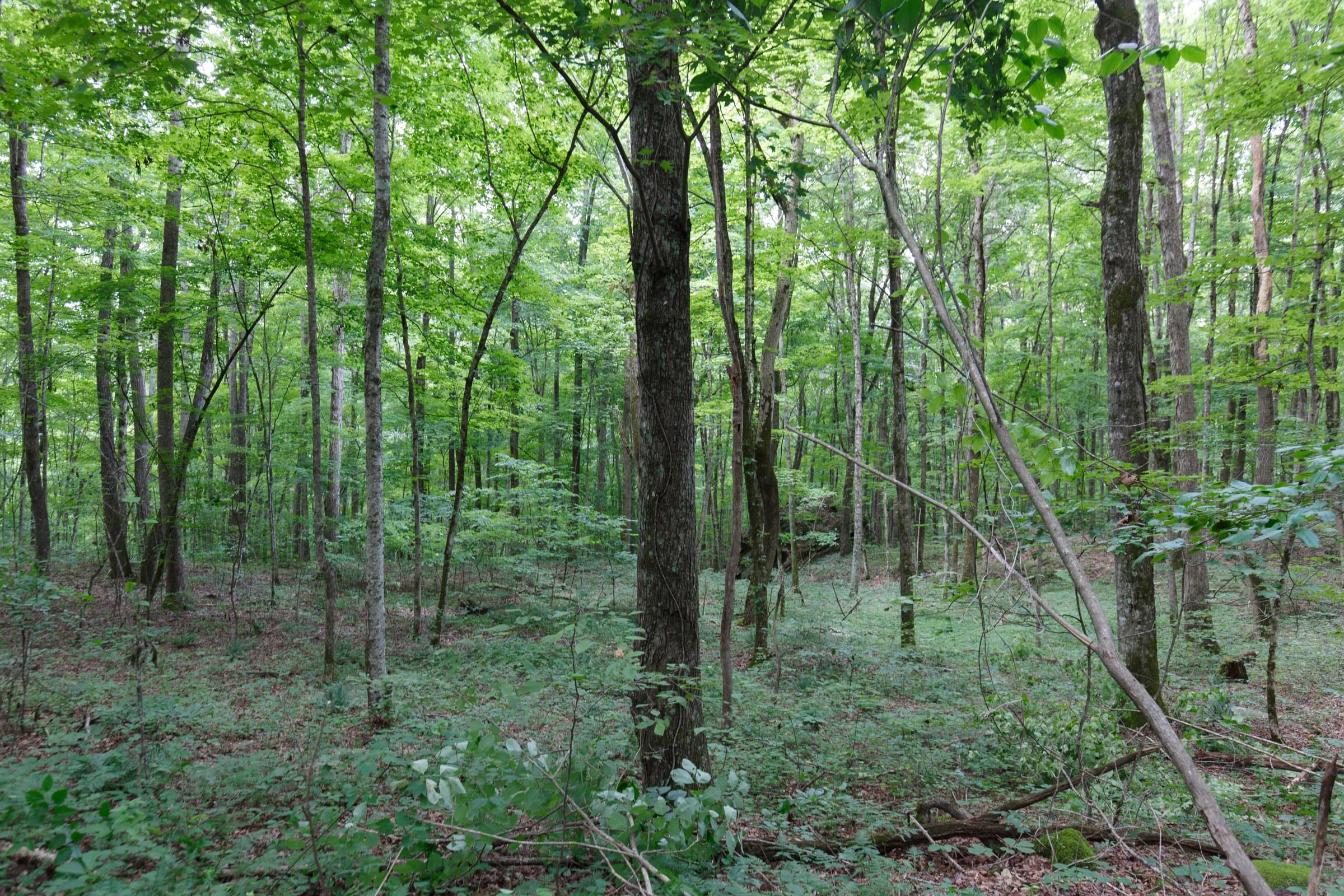 Rolling Hills Tract 11 photo 8