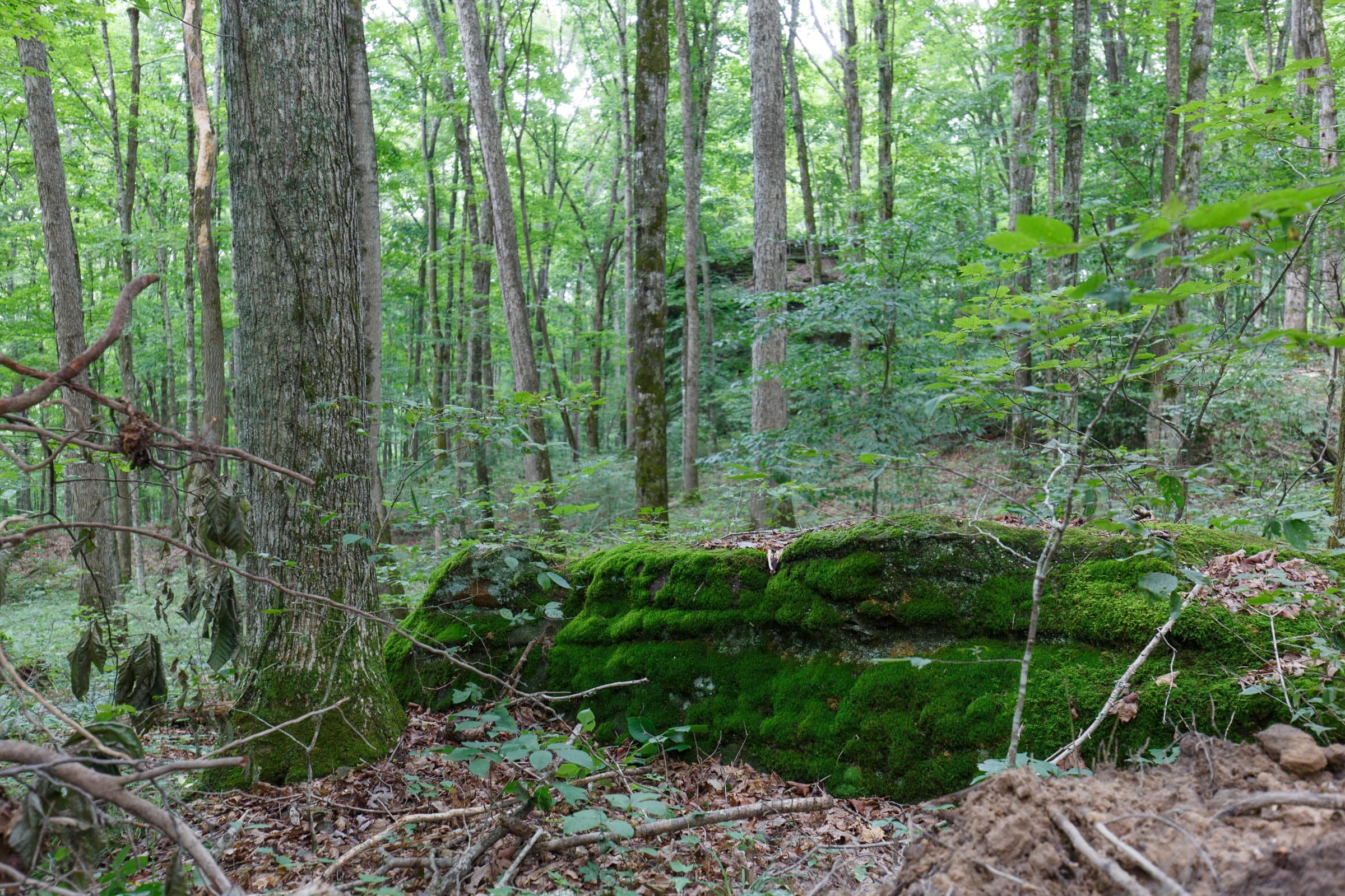 Rolling Hills Tract 11 photo 4