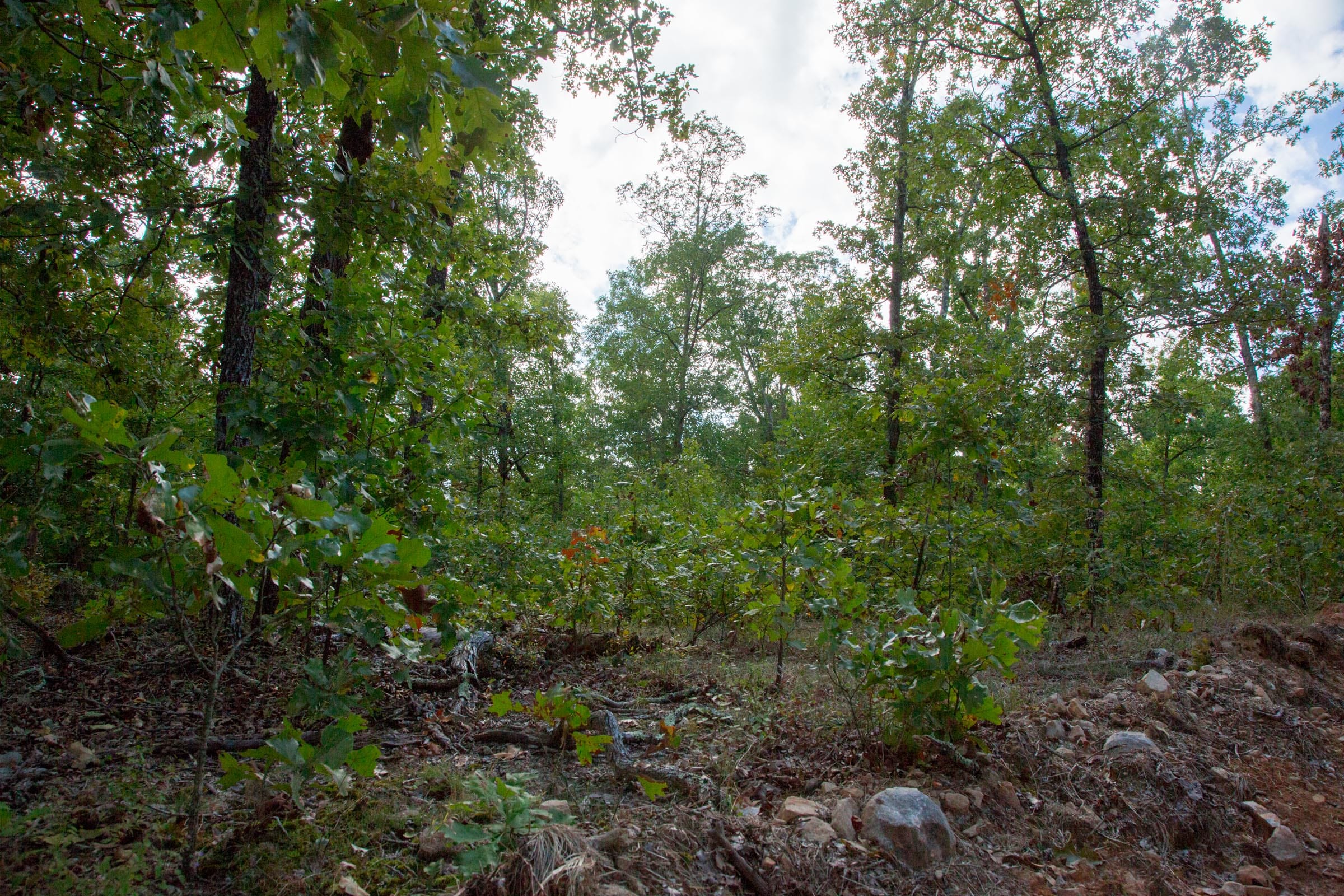 Wagon Wheel Ranch Tract 32 photo 3