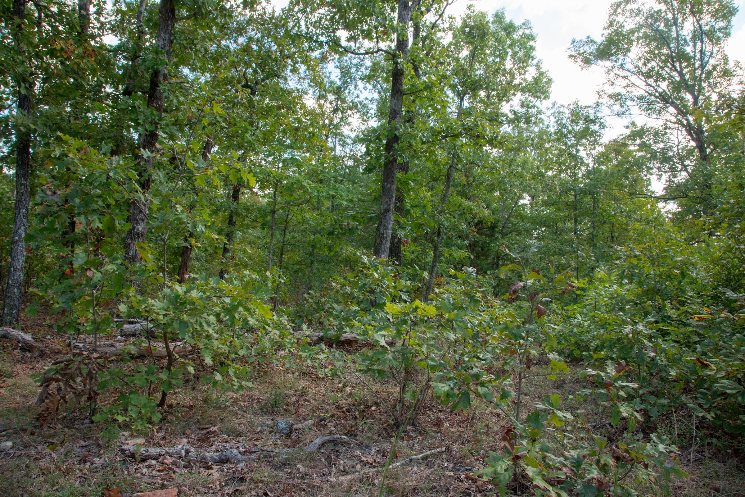 Wagon Wheel Ranch Tract 32 photo 4