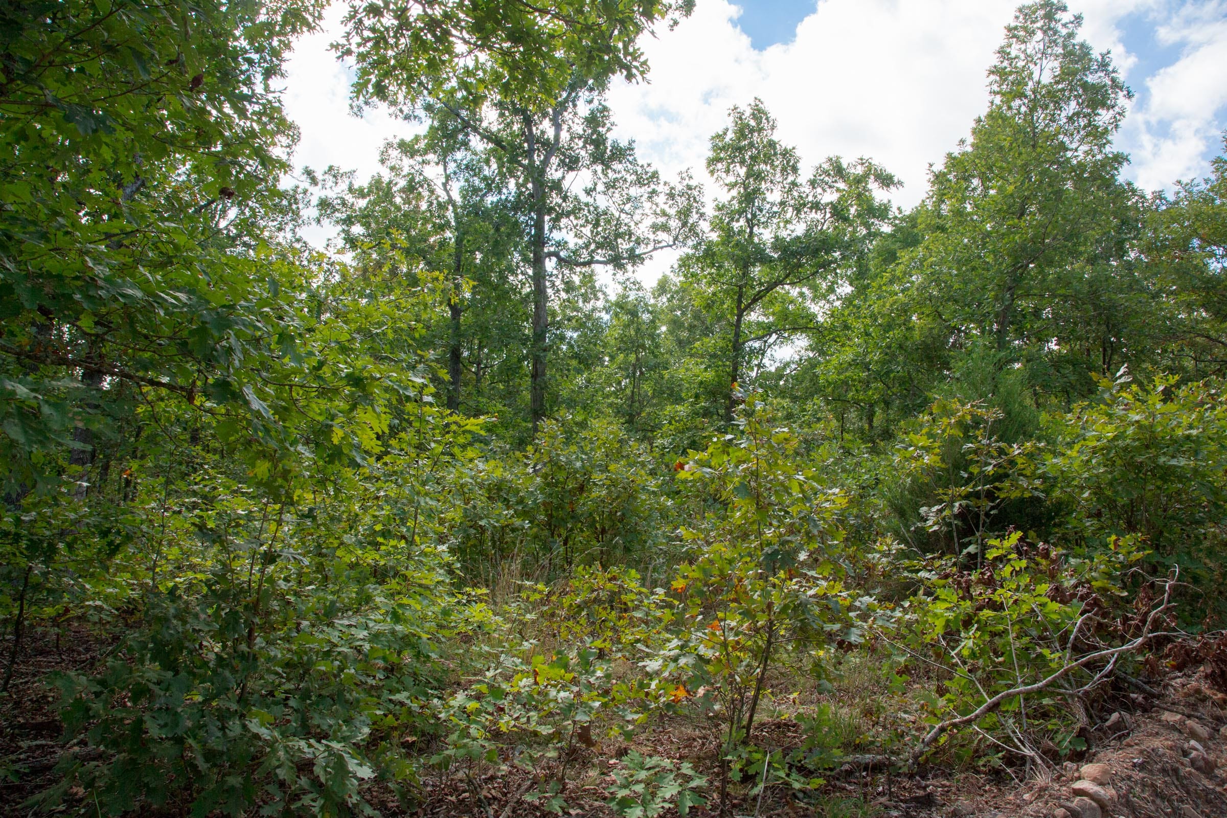 Wagon Wheel Ranch Tract 32 photo 5