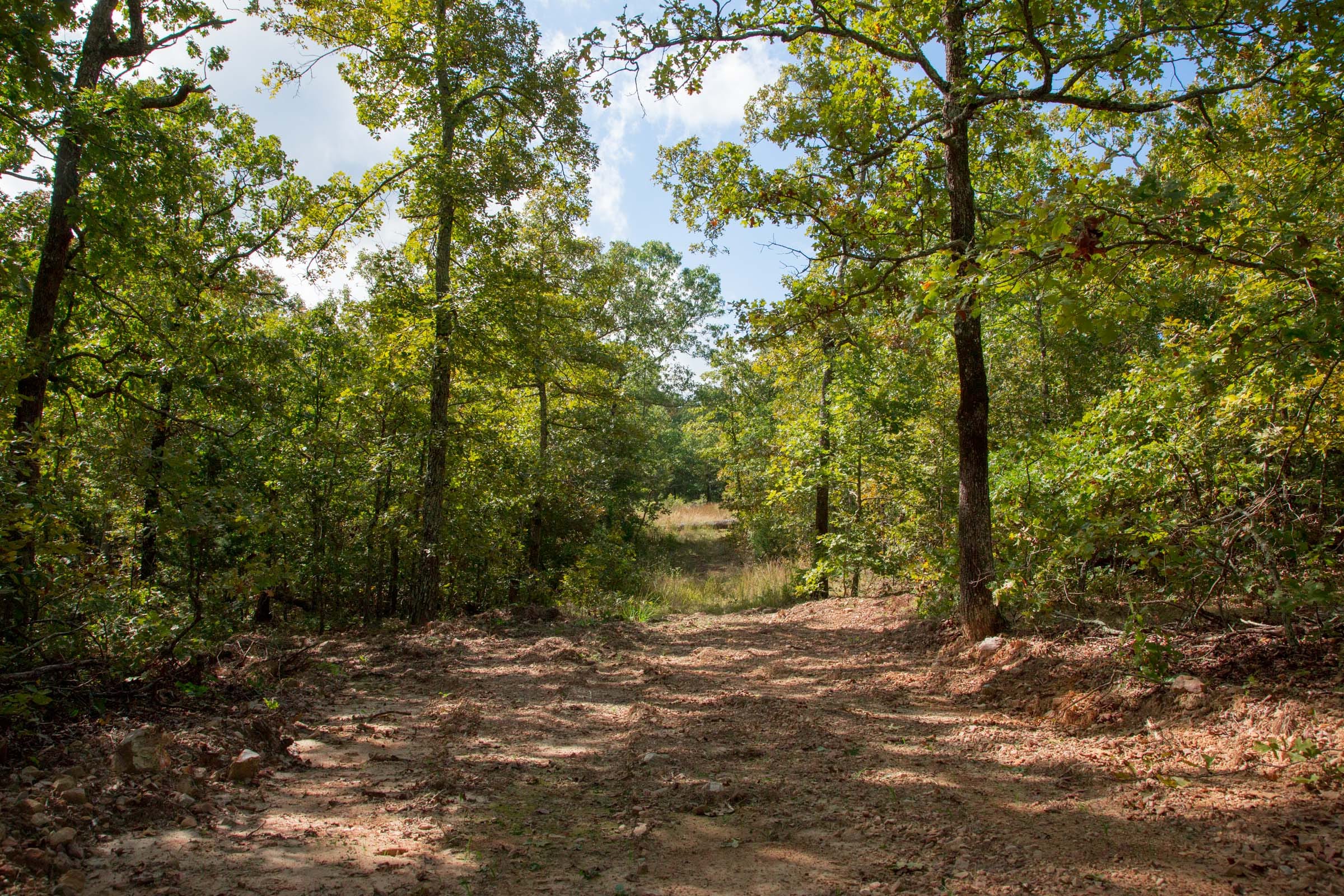 Wagon Wheel Ranch Tract 32 photo 7