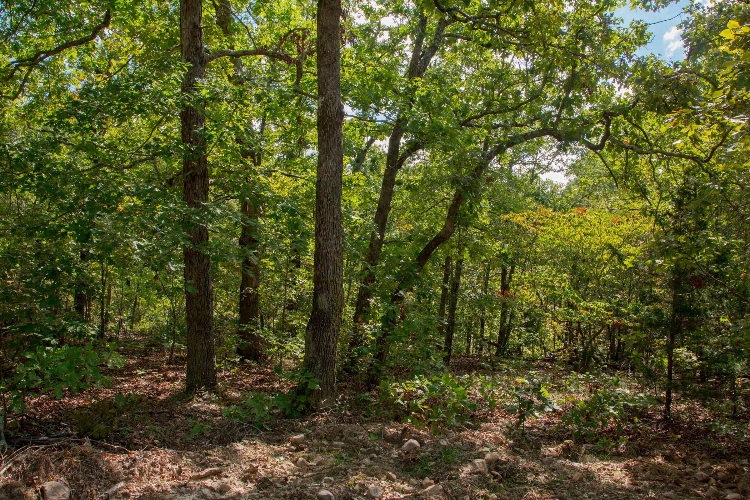 Wagon Wheel Ranch Tract 32 photo 11