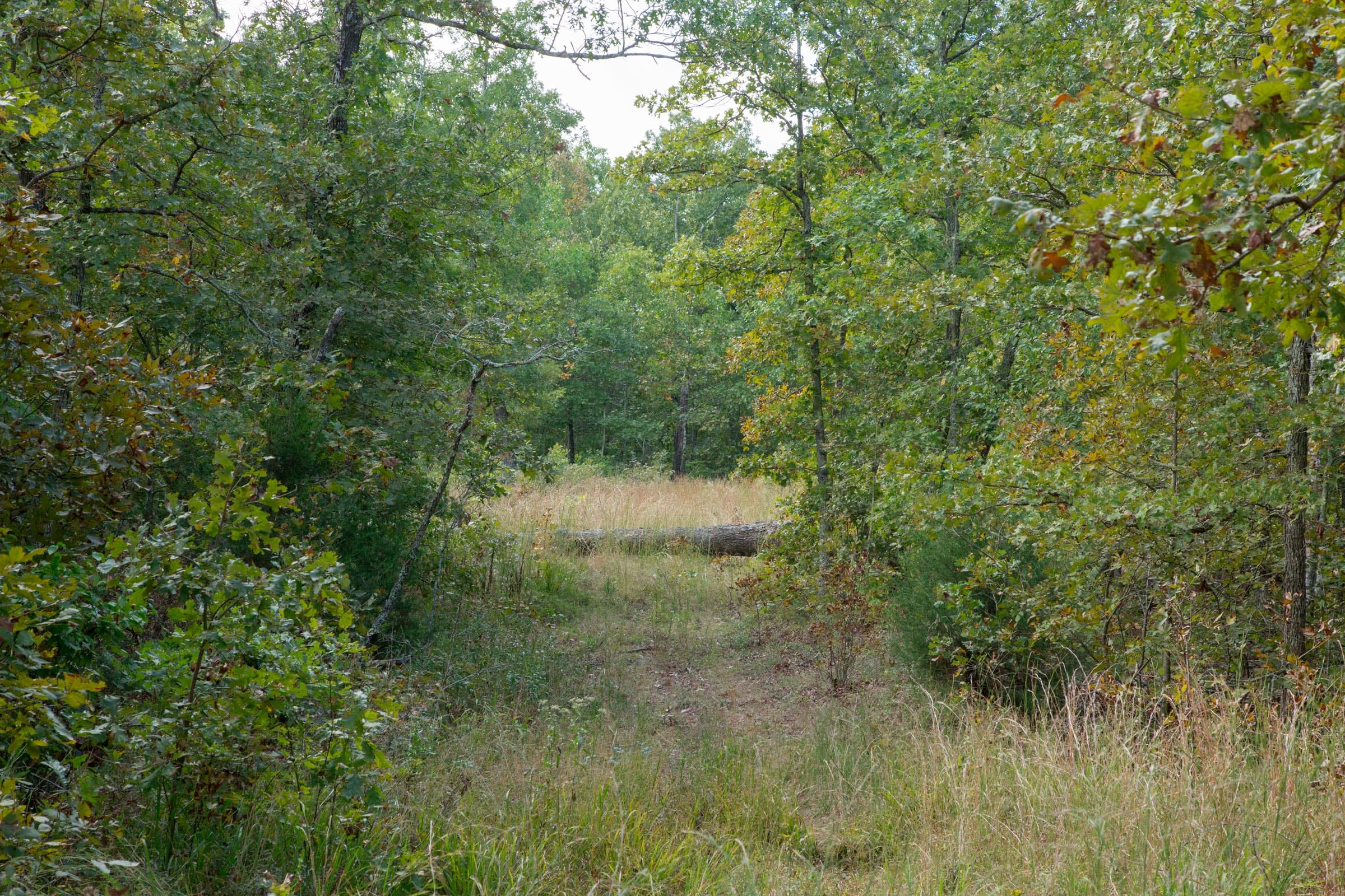 Wagon Wheel Ranch Tract 32 photo 1