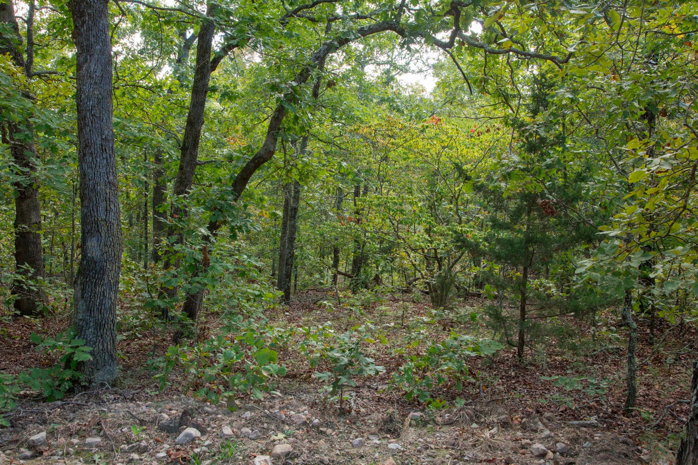 Wagon Wheel Ranch Tract 32 photo 12