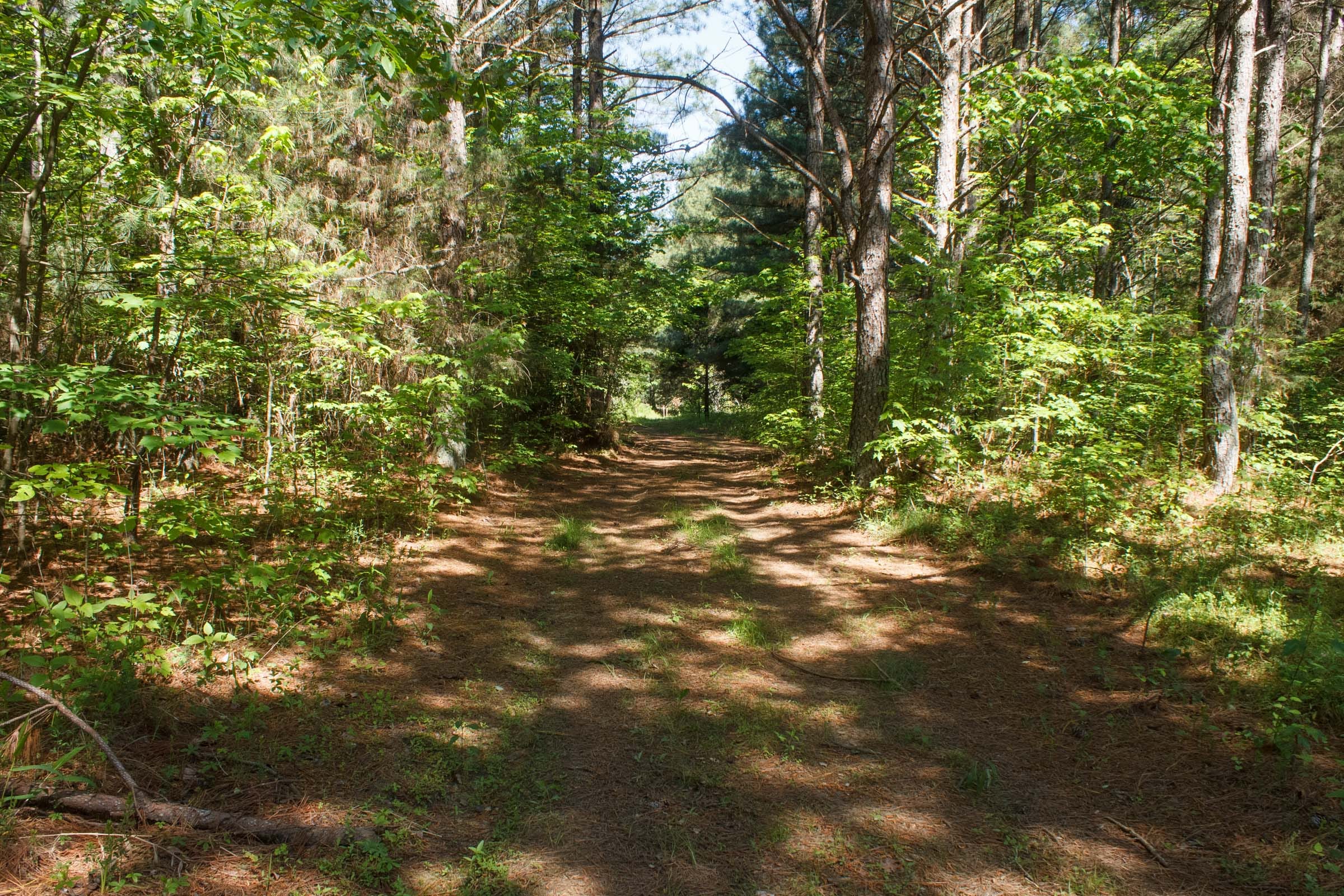 Riverbend Tract 26 photo 1