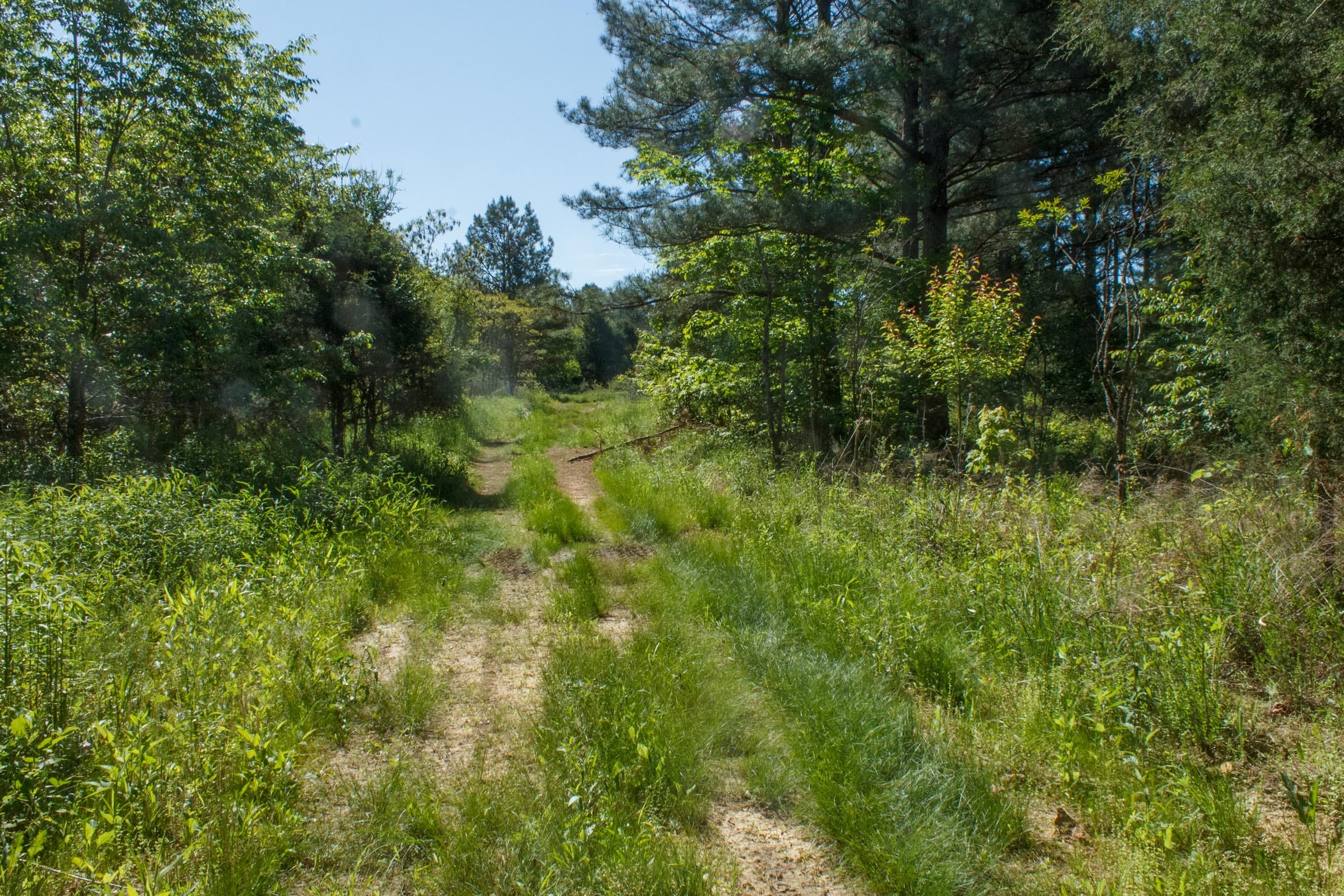 Riverbend Tract 26 photo 3