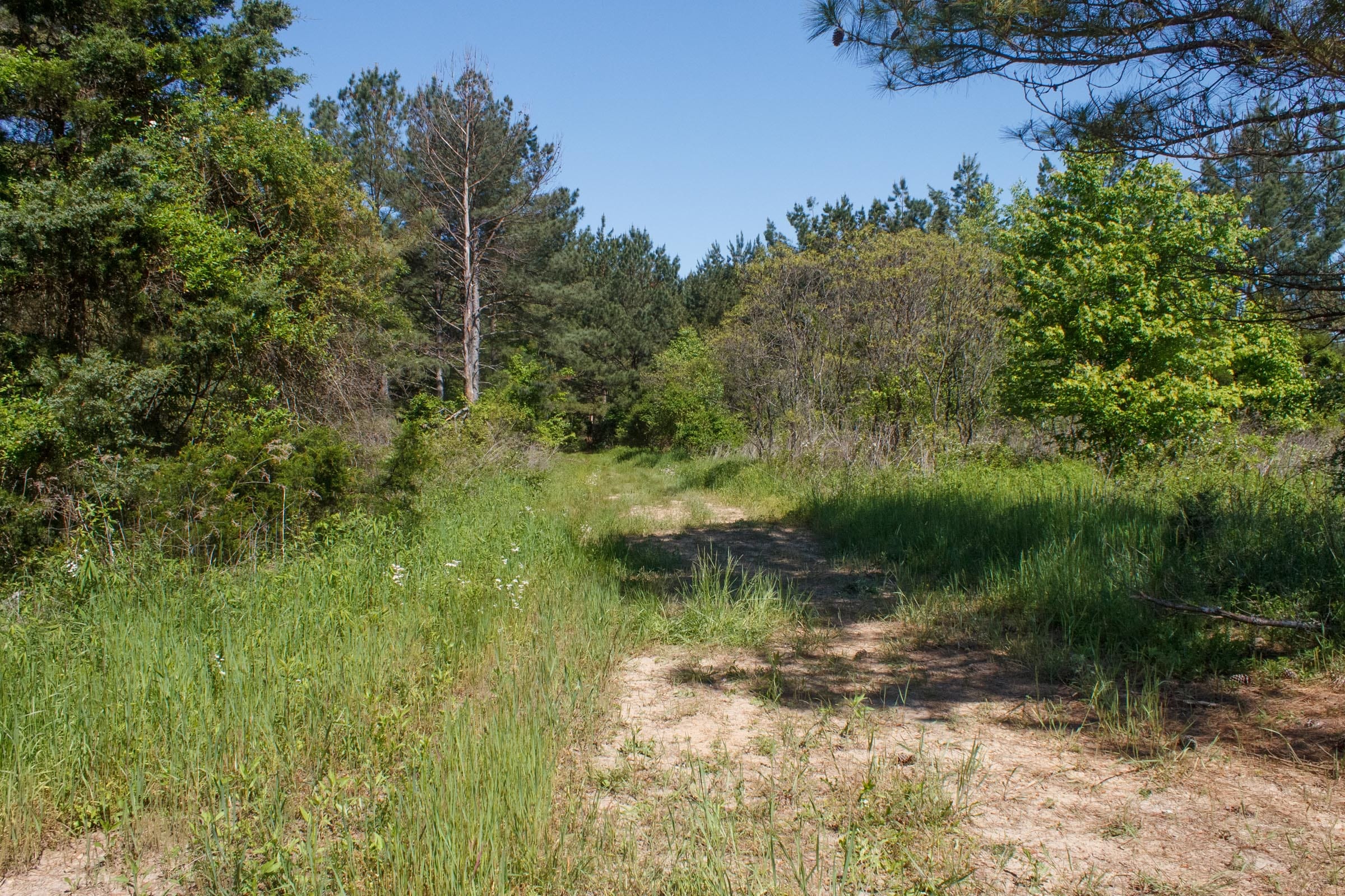 Riverbend Tract 26 photo 15