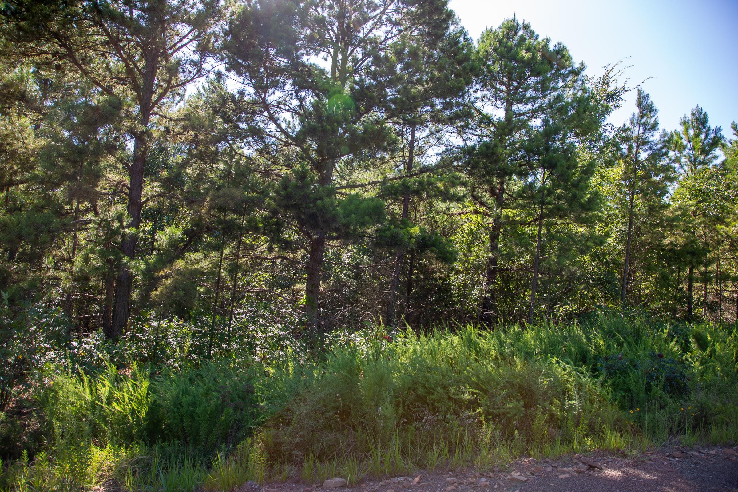 Tyler Stone Ranch Tract 10 photo 3