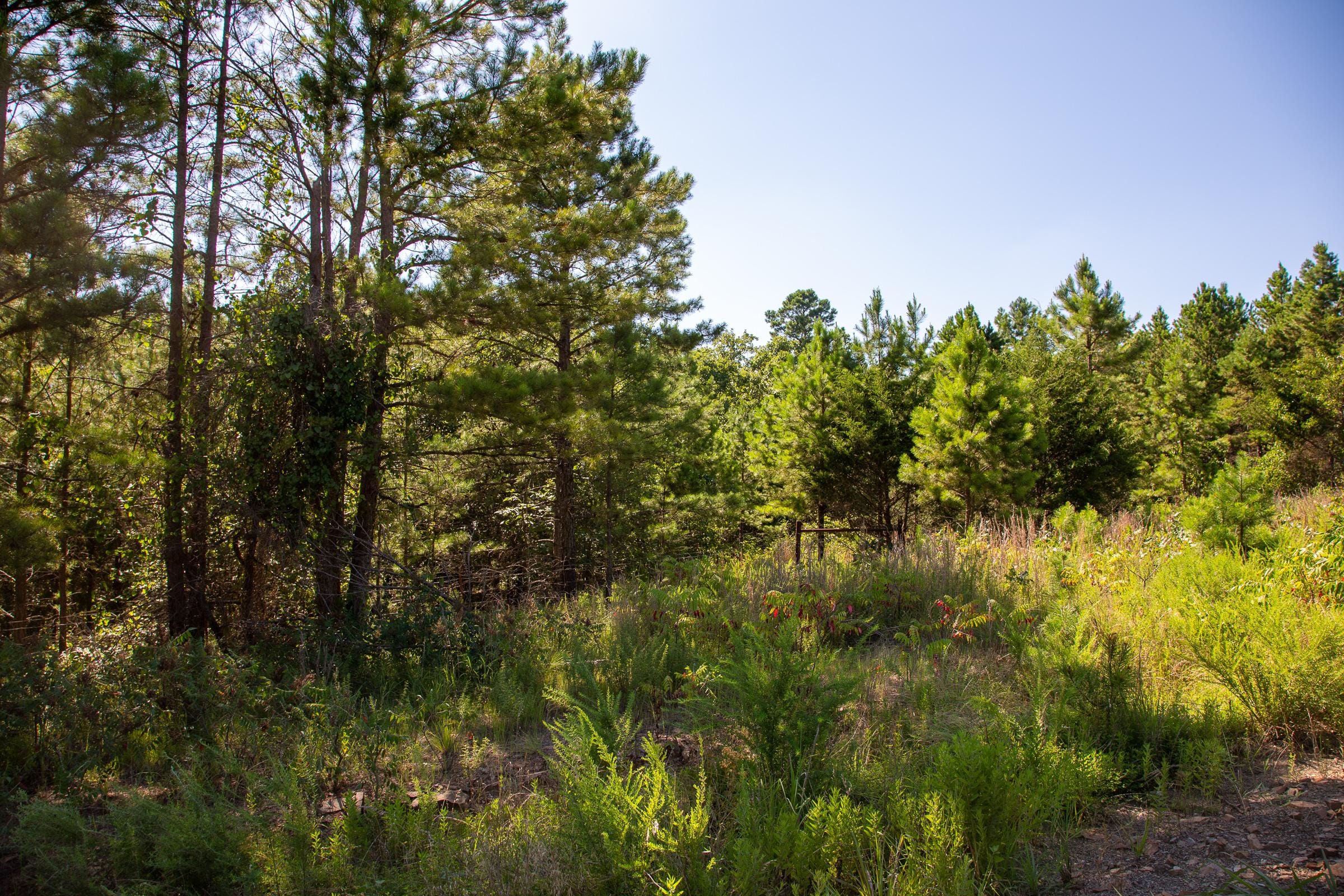 Tyler Stone Ranch Tract 10 photo 4