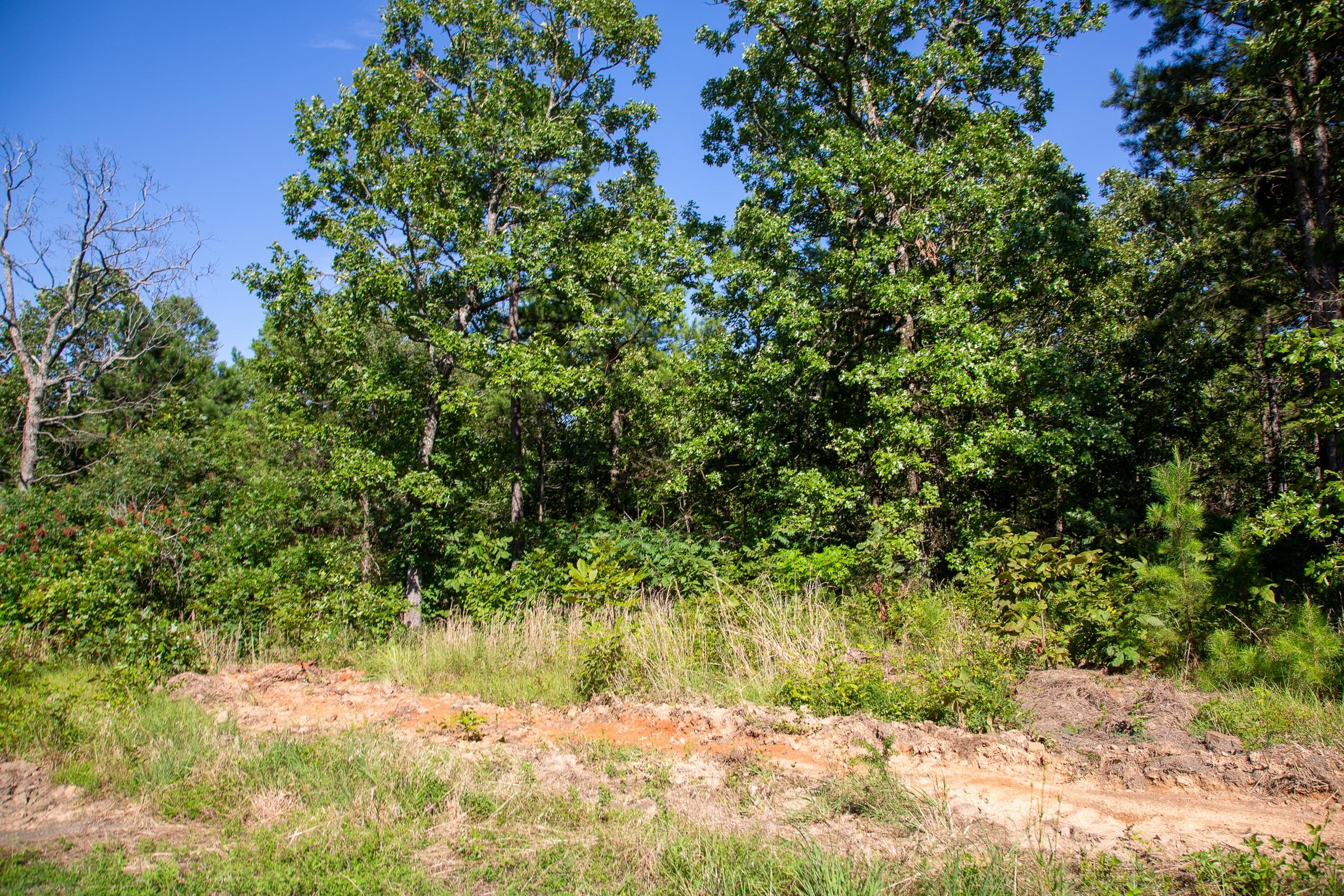 Tyler Stone Ranch Tract 10 photo 12