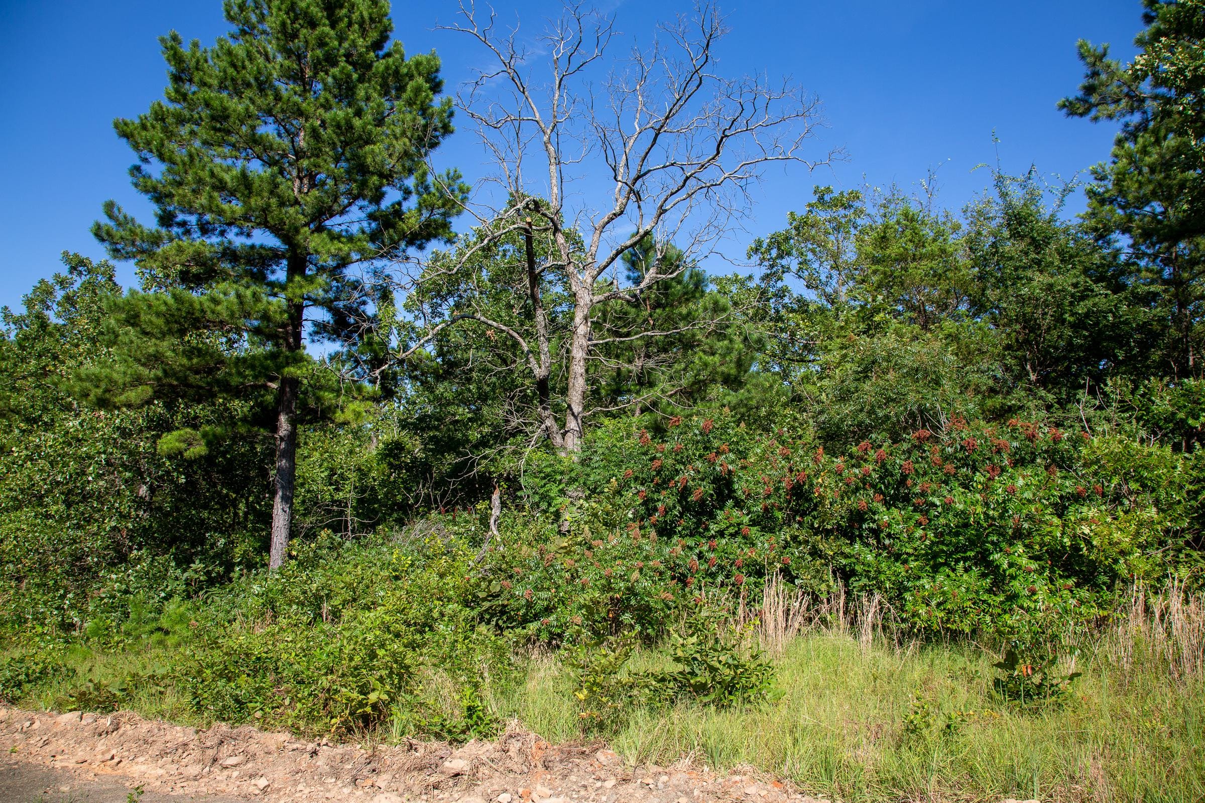 Tyler Stone Ranch Tract 10 photo 13