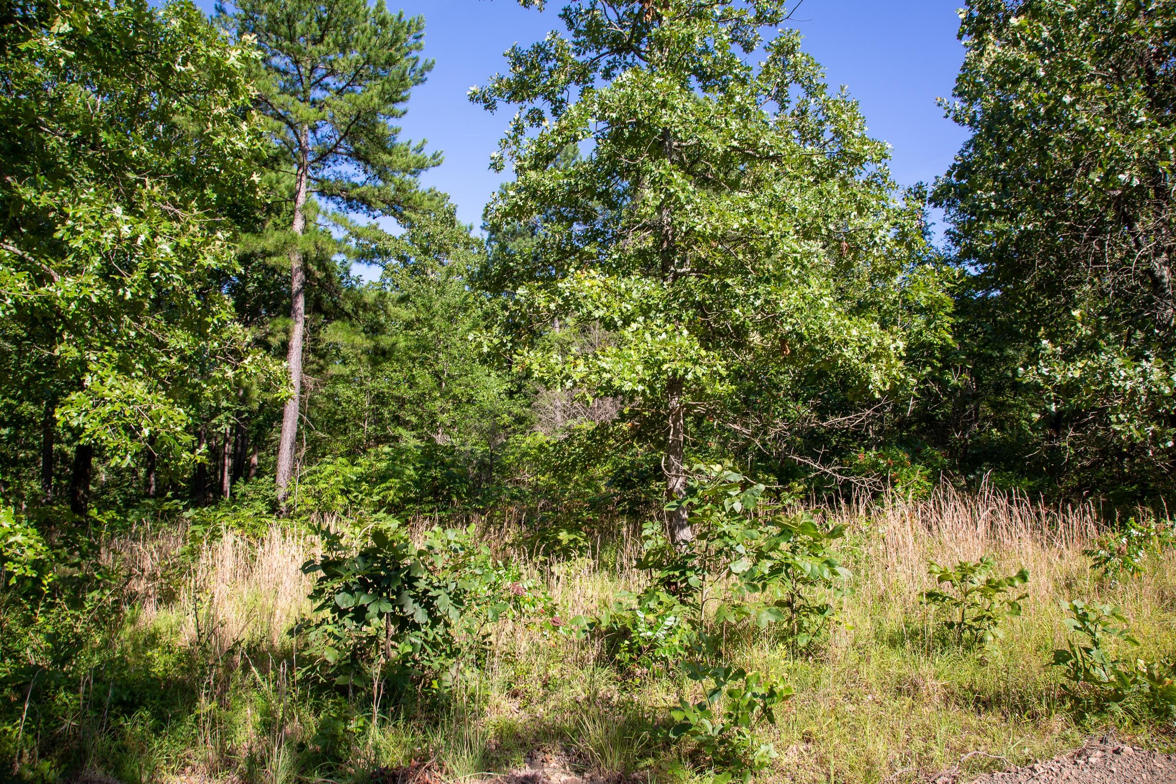Tyler Stone Ranch Tract 10 photo 14