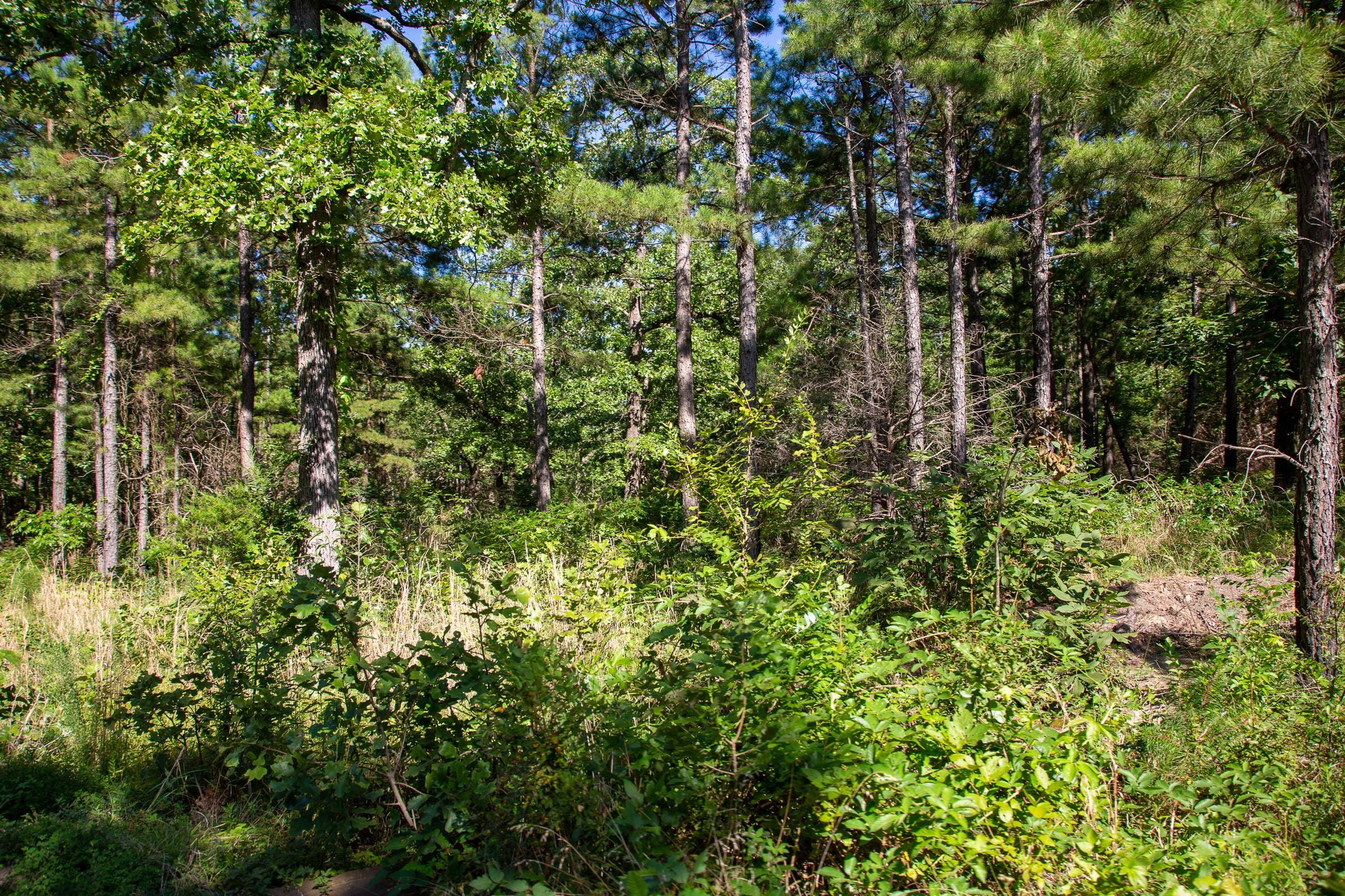 Tyler Stone Ranch Tract 10 photo 15