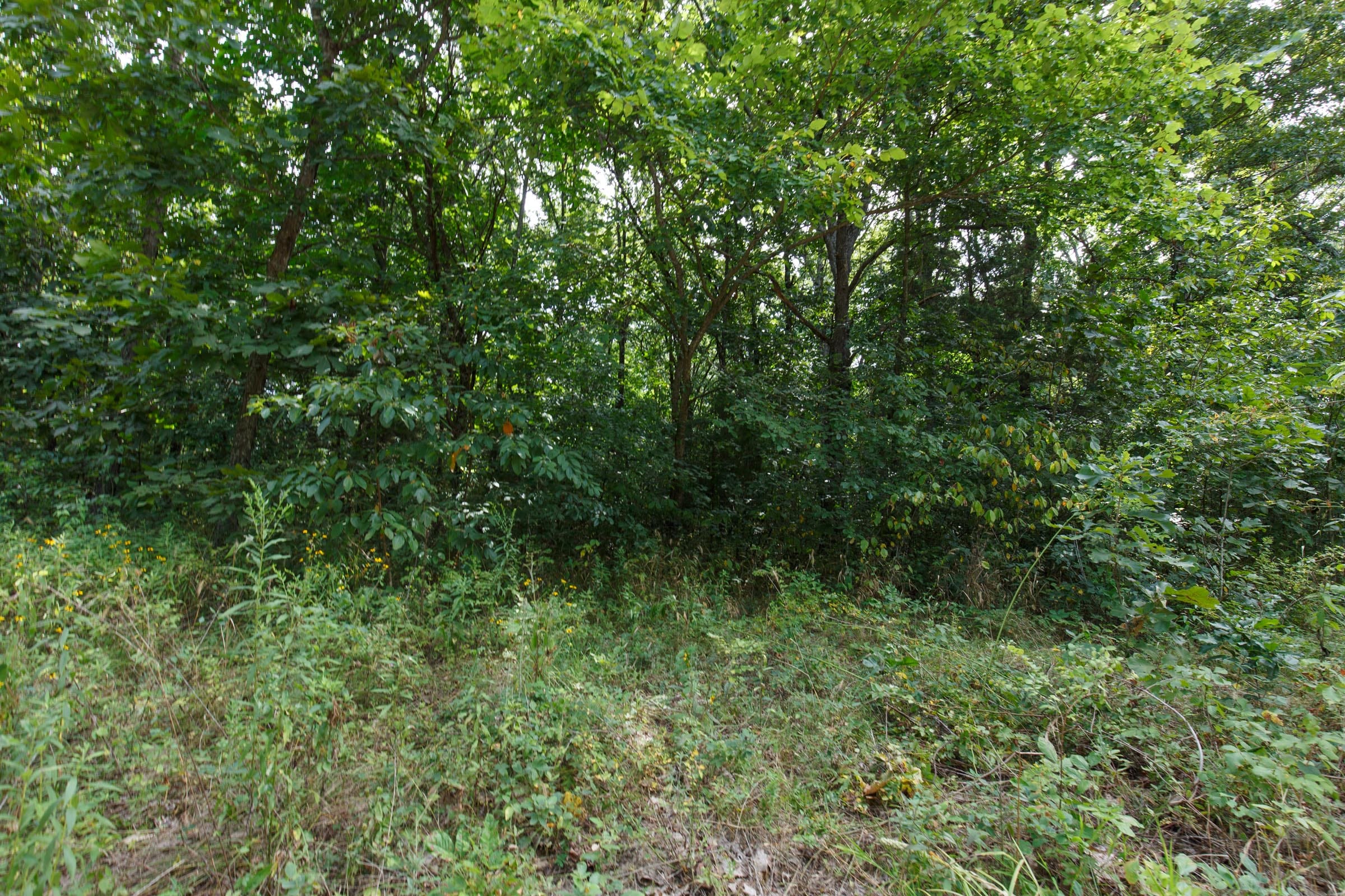 Spring Lake Plat 6 Tract 16 photo 4