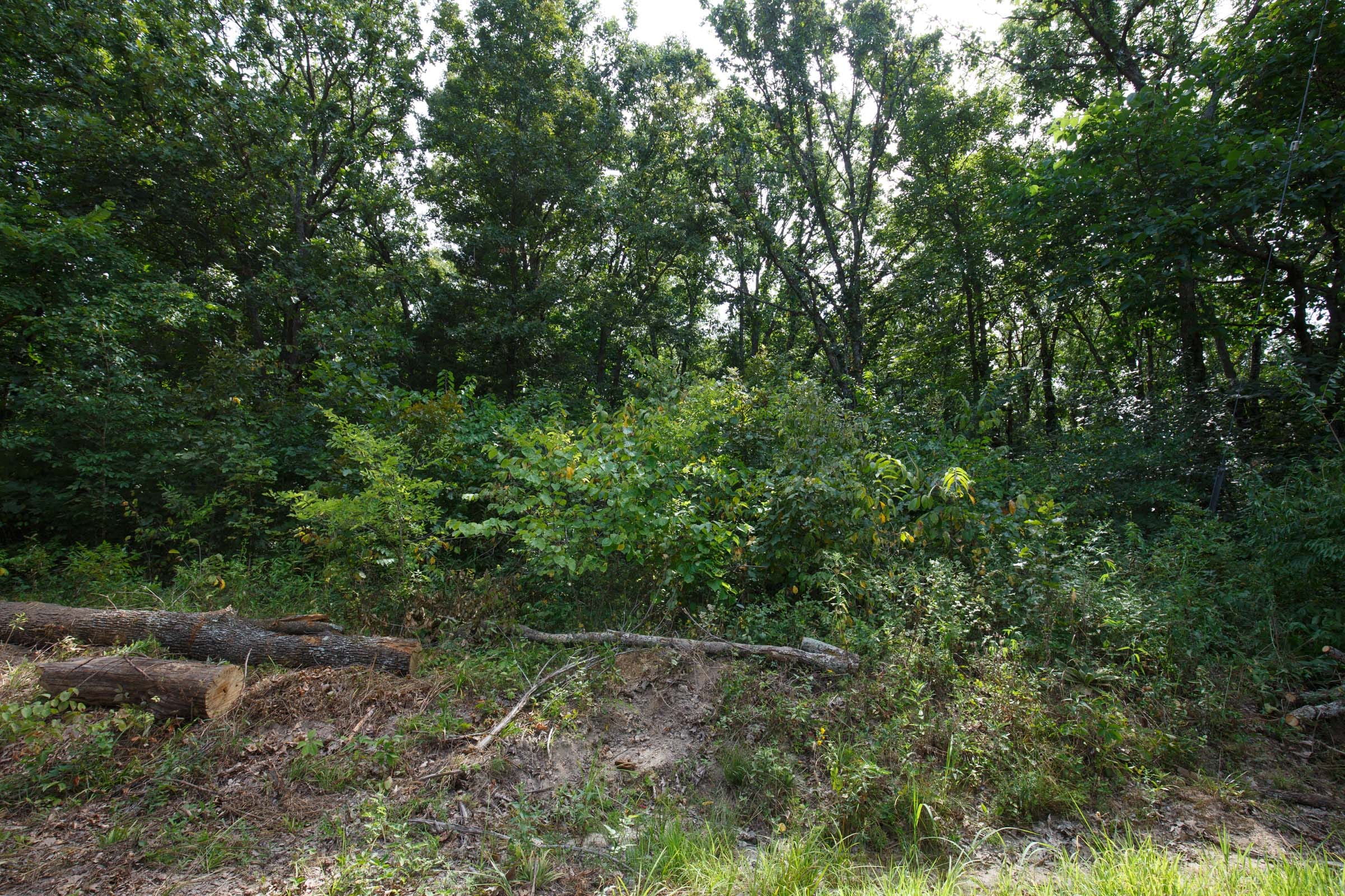 Spring Lake Plat 6 Tract 16 photo 5