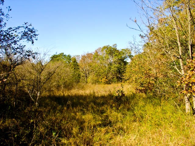 Saddlebrook Ranch Tract 22 photo 4