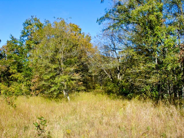 Saddlebrook Ranch Tract 22 photo 5