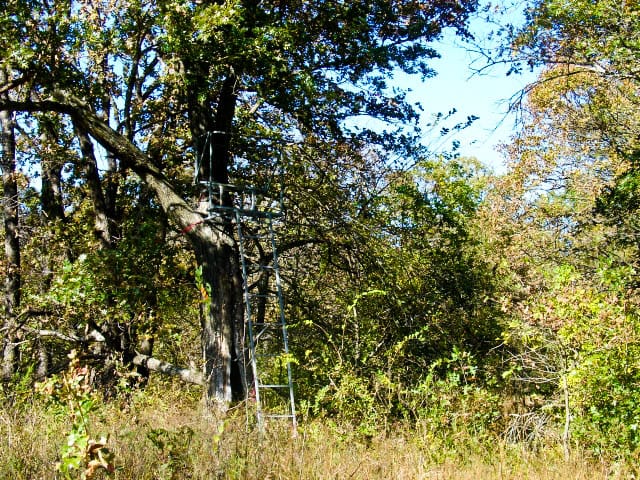 Saddlebrook Ranch Tract 22 photo 6