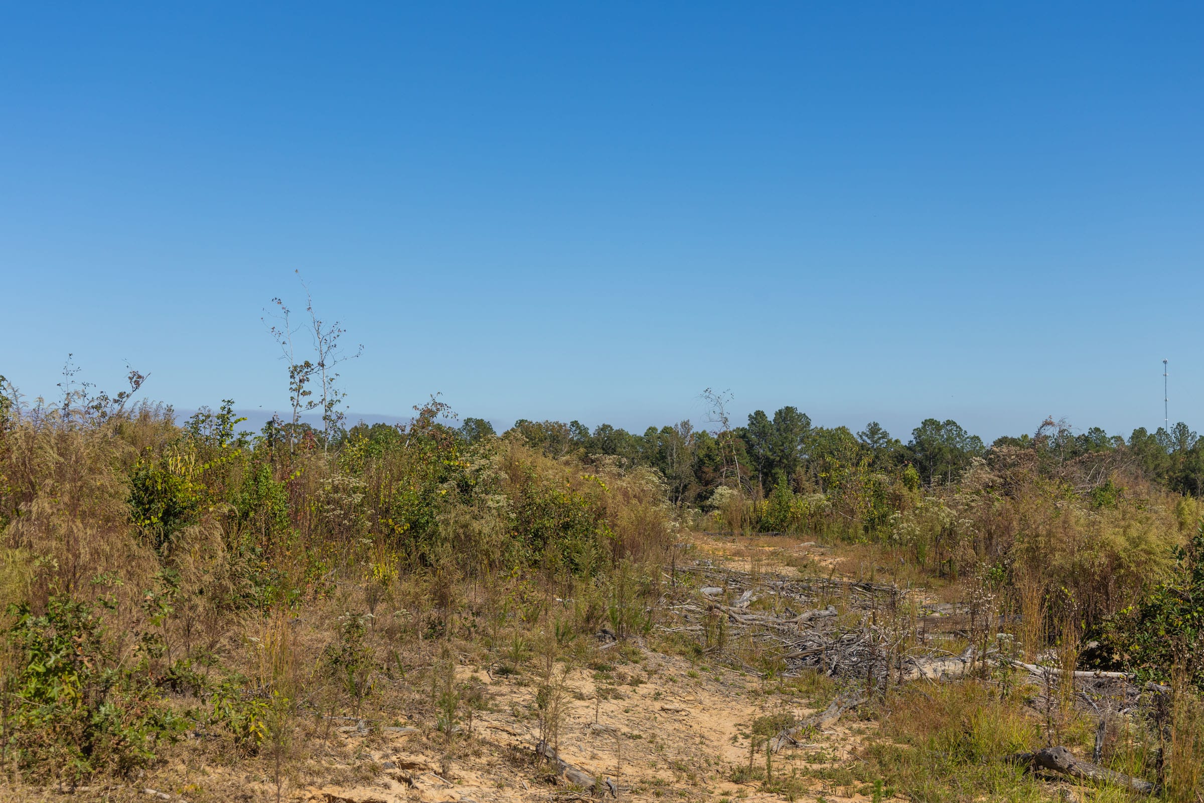 Meyer’s Ridge Tract 35 photo 12