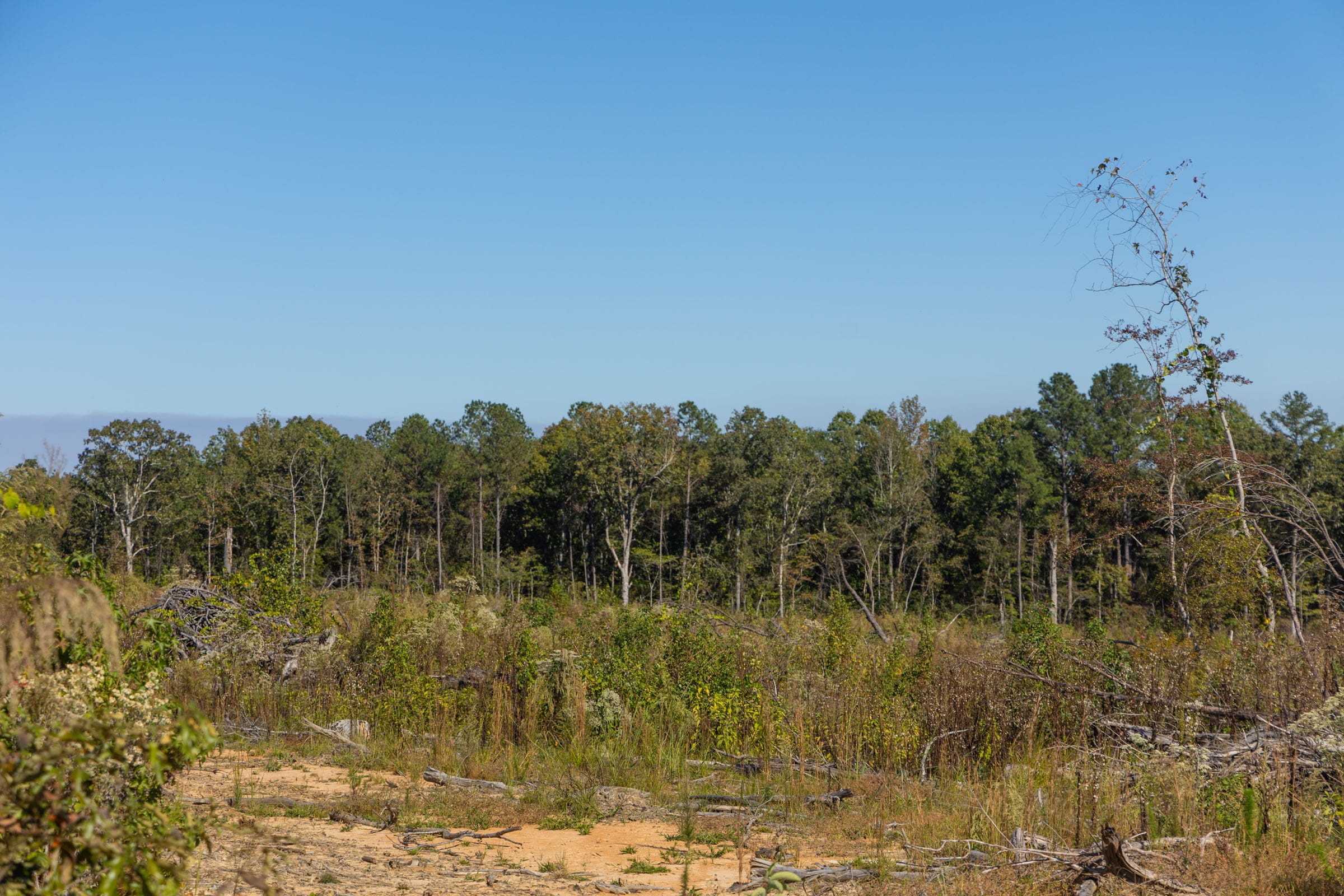 Meyer’s Ridge Tract 35 photo 11