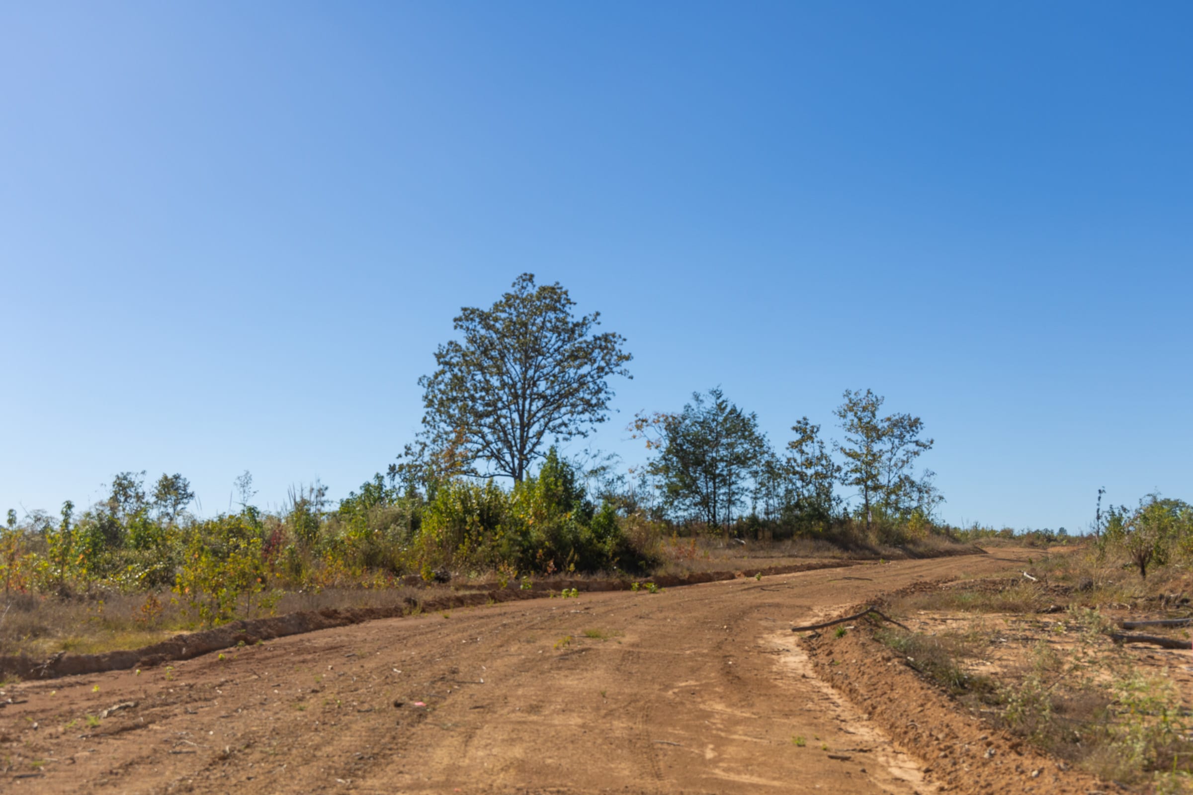 Meyer’s Ridge Tract 35 photo 8