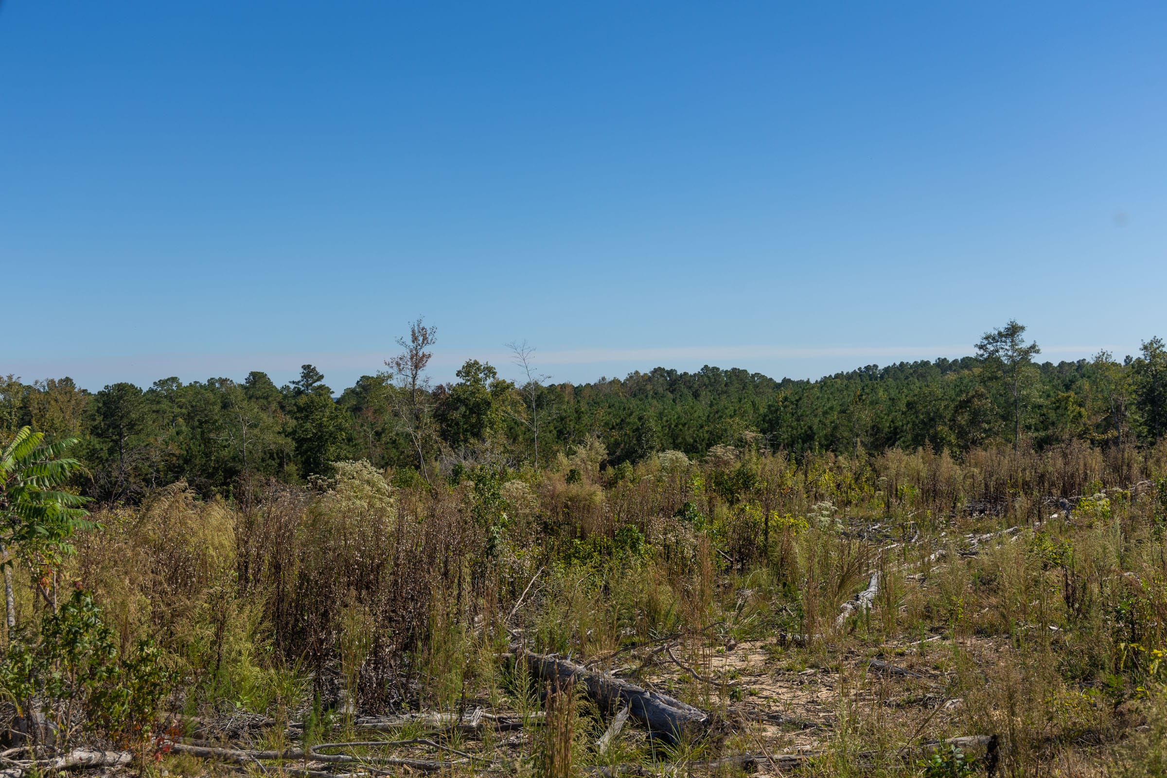 Meyer’s Ridge Tract 35 photo 6