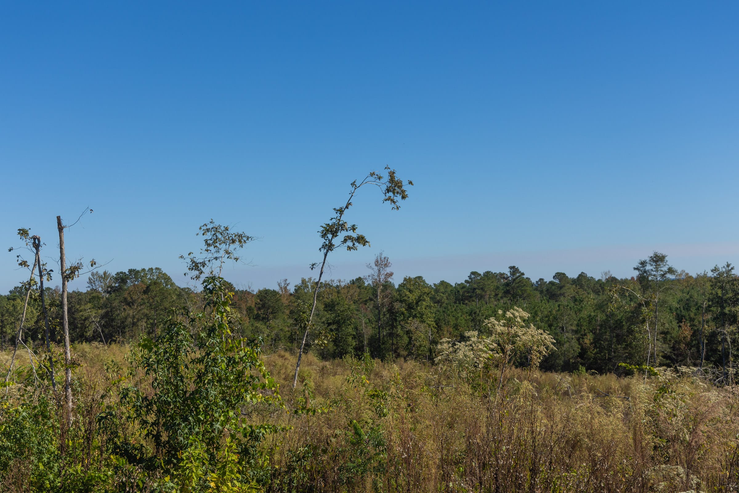 Meyer’s Ridge Tract 35 photo 5