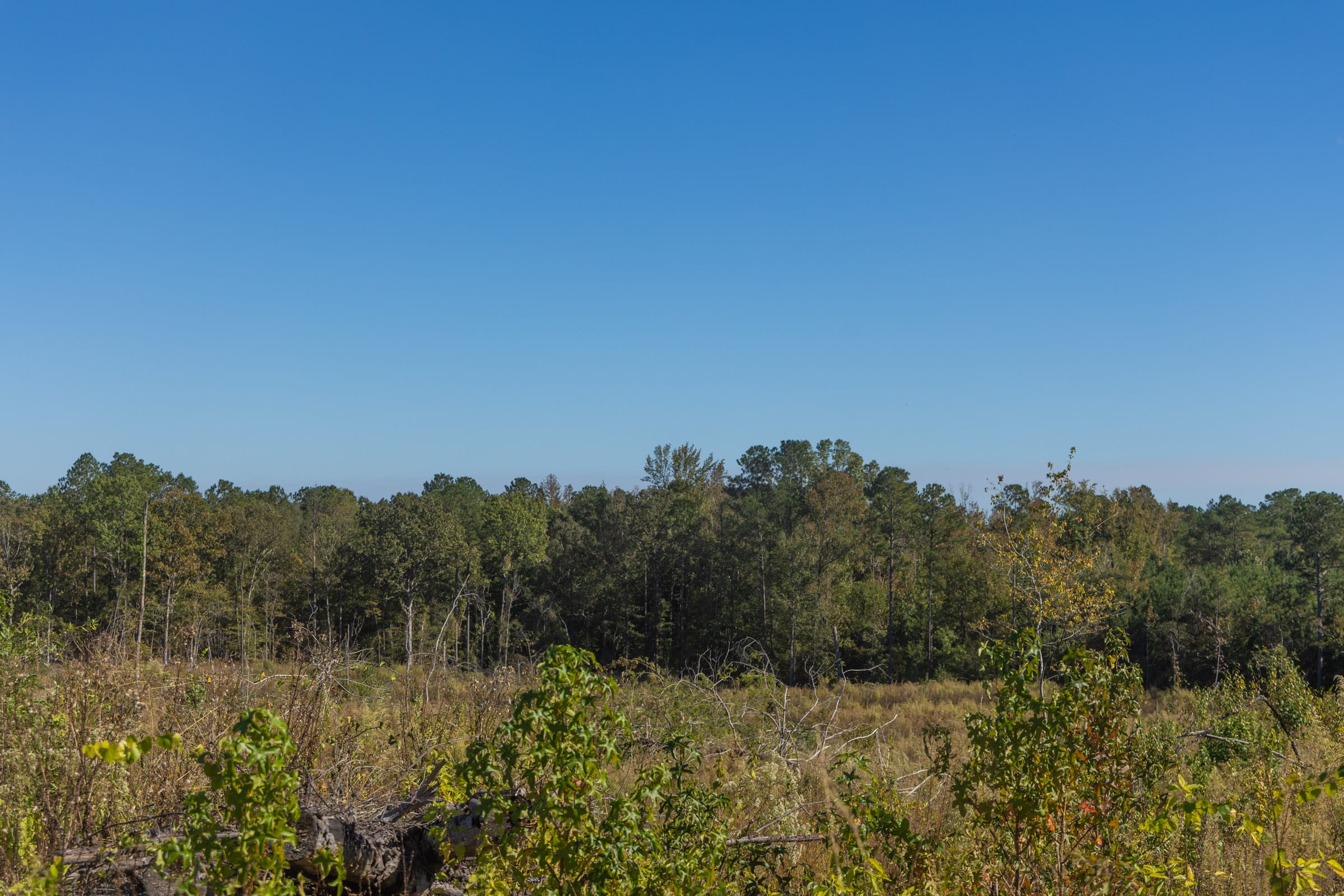 Meyer’s Ridge Tract 35 photo 4