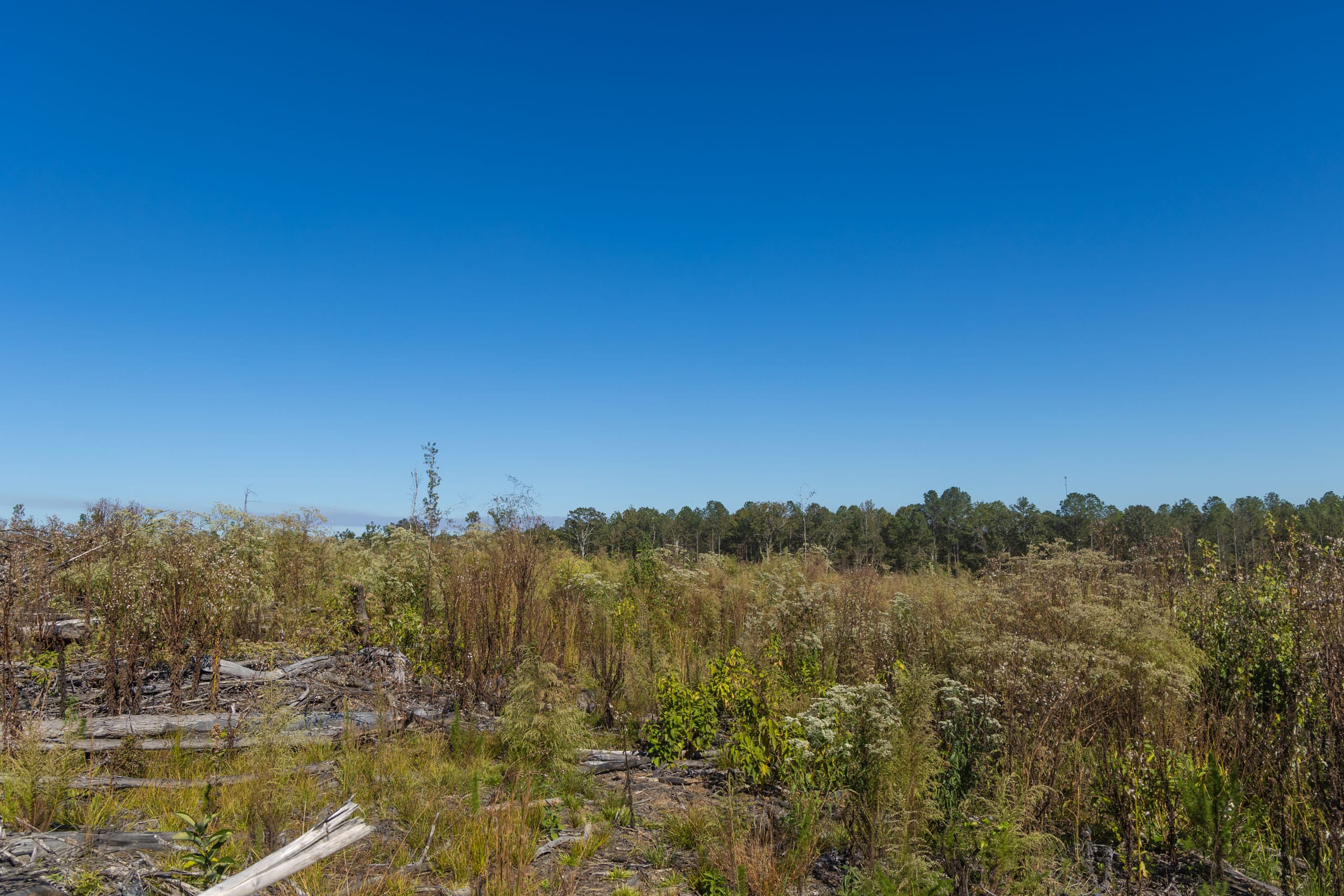 Meyer’s Ridge Tract 35 photo 3