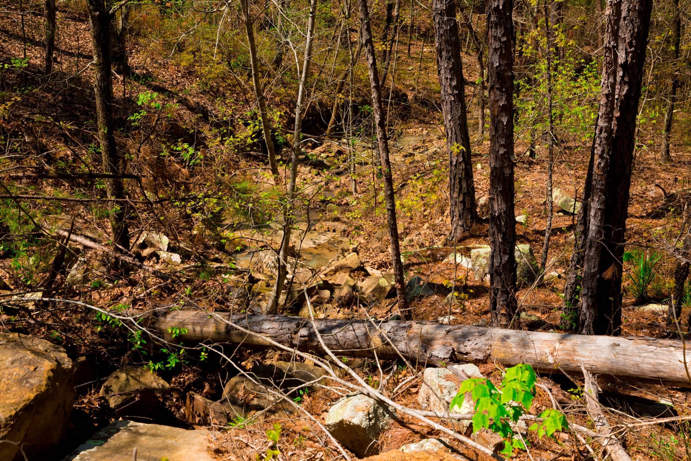 Stone Creek Phase II Tract 216 photo 7