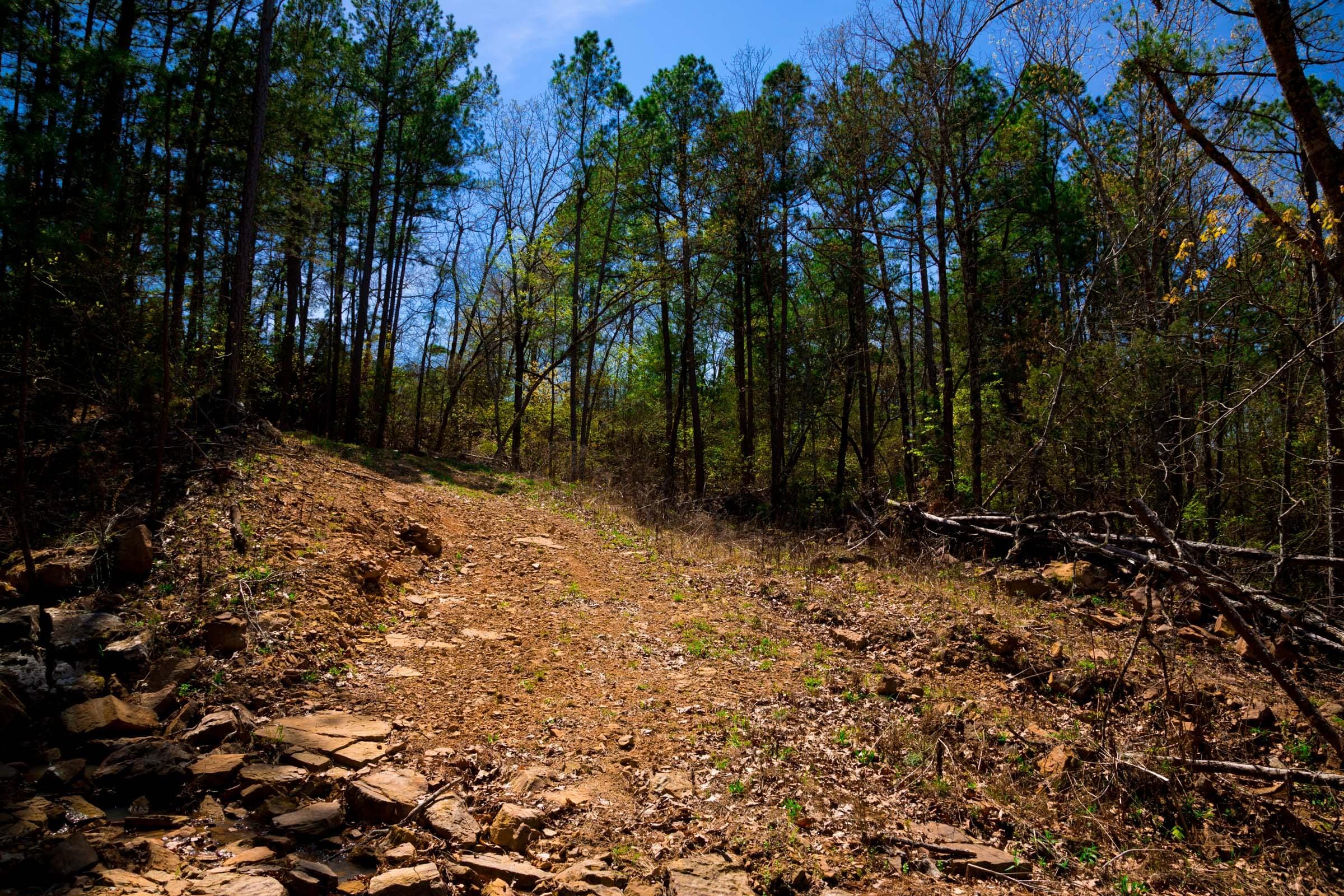 Stone Creek Phase II Tract 216 photo 2